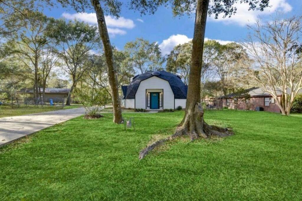 Lake Conroe Dome Home view 3