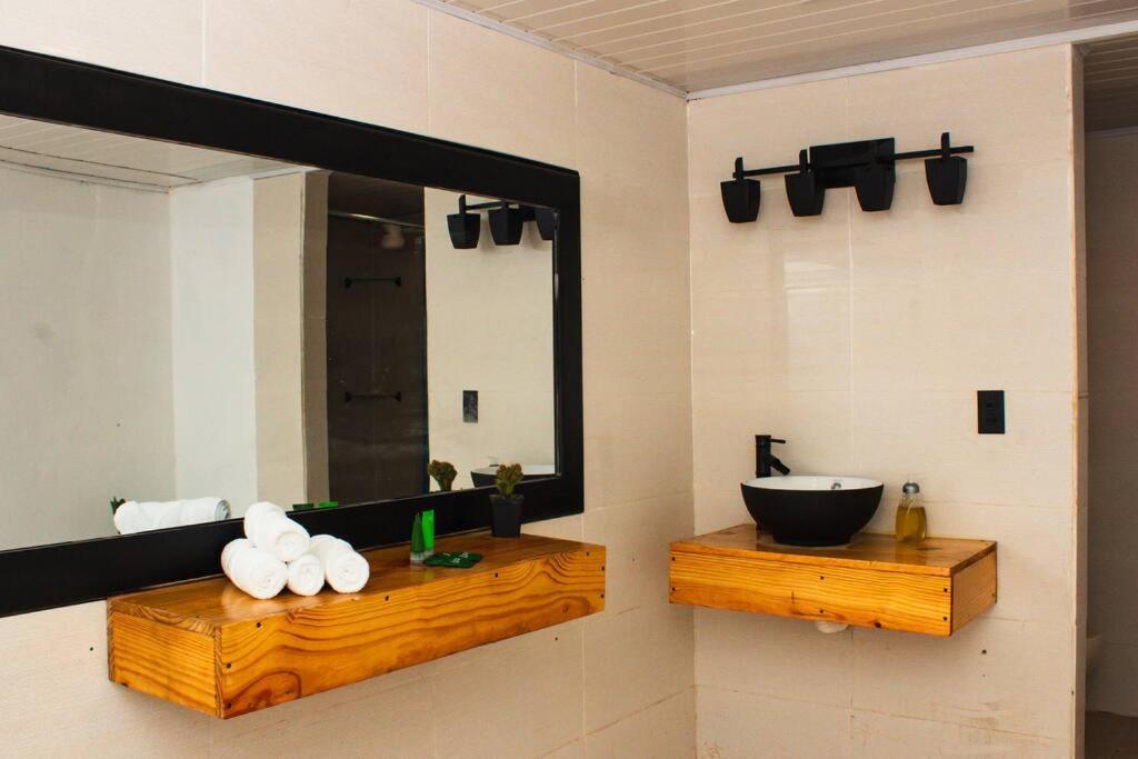 Photo 42