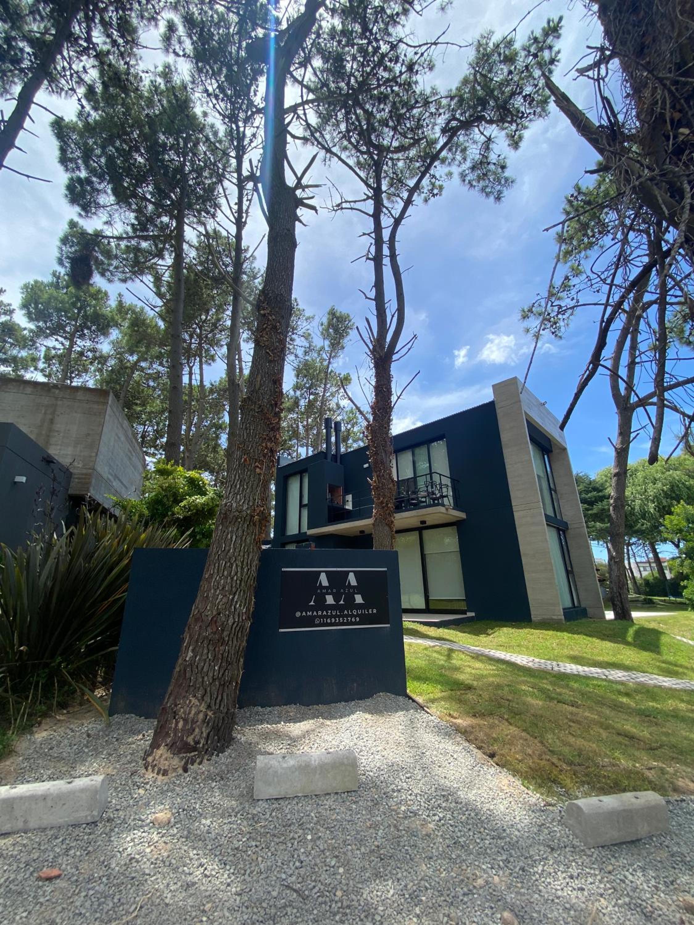 Amar Azul