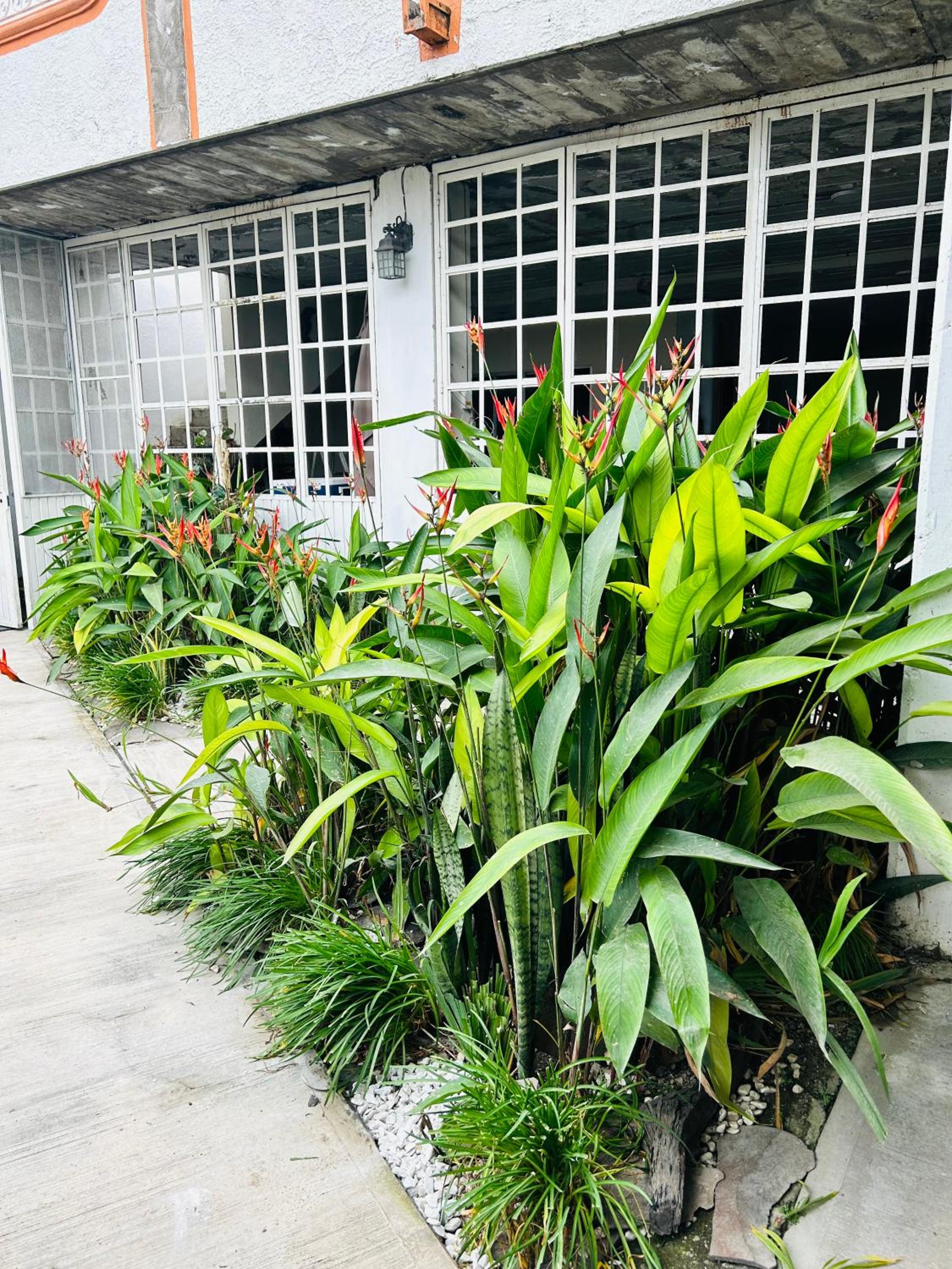 Casa Ranitas view 2