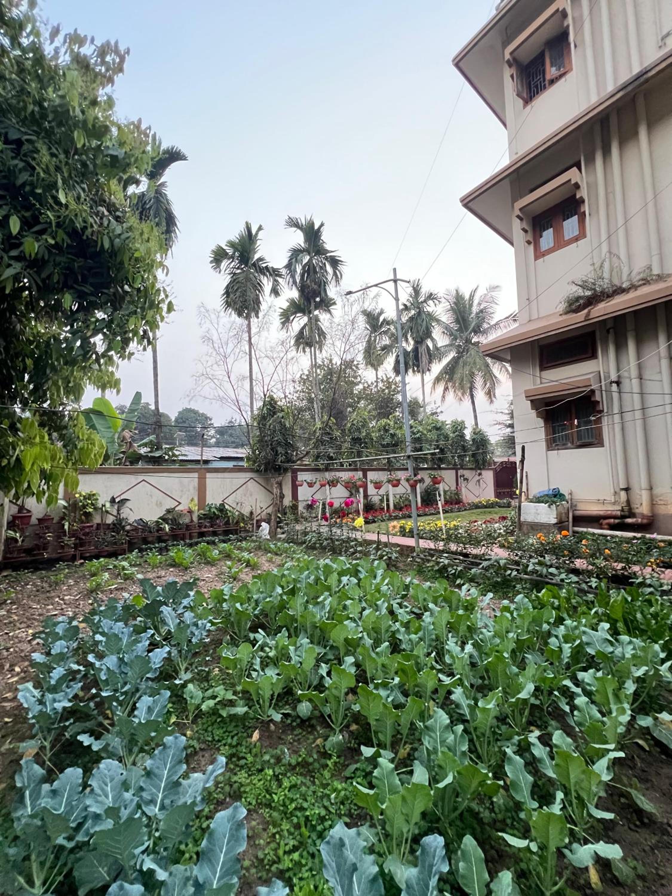 Rang Niwas -1BHK with Air Conditioning view 2