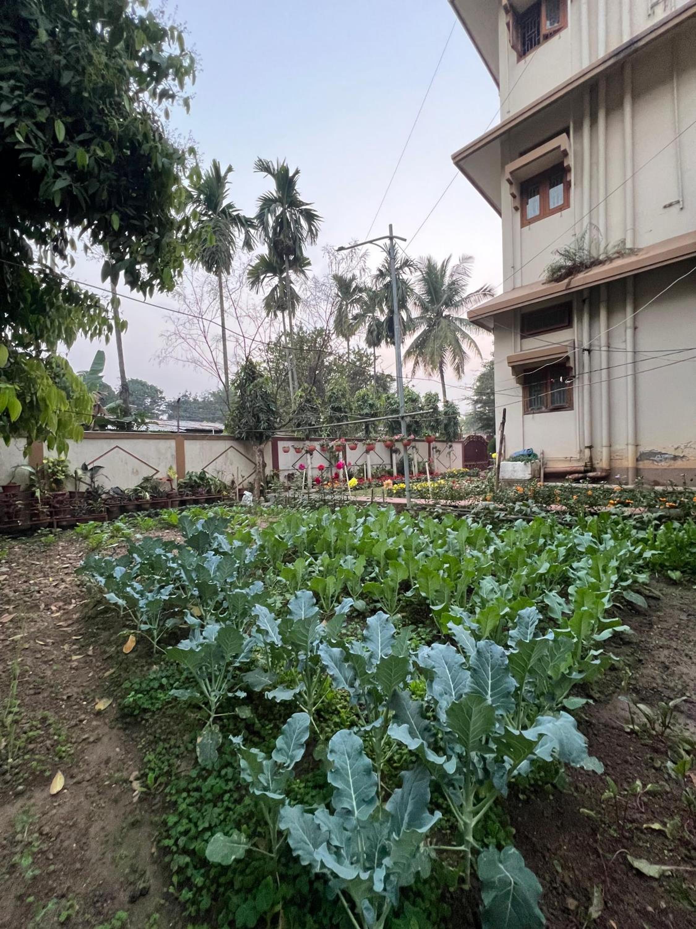 Rang Niwas -1BHK with Air Conditioning view 3