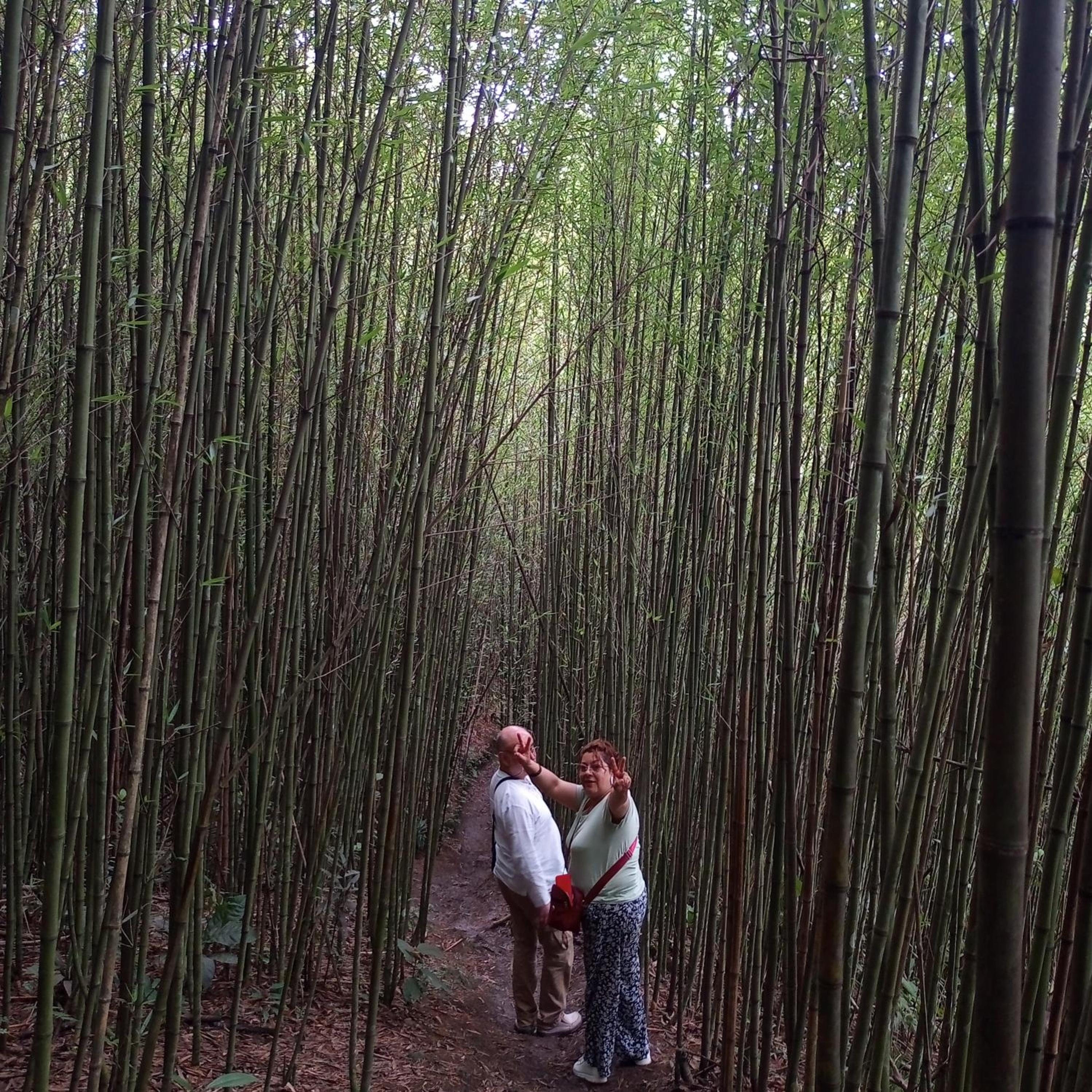 Eco-Cabanas Altozano Nimaima - Property Image 3