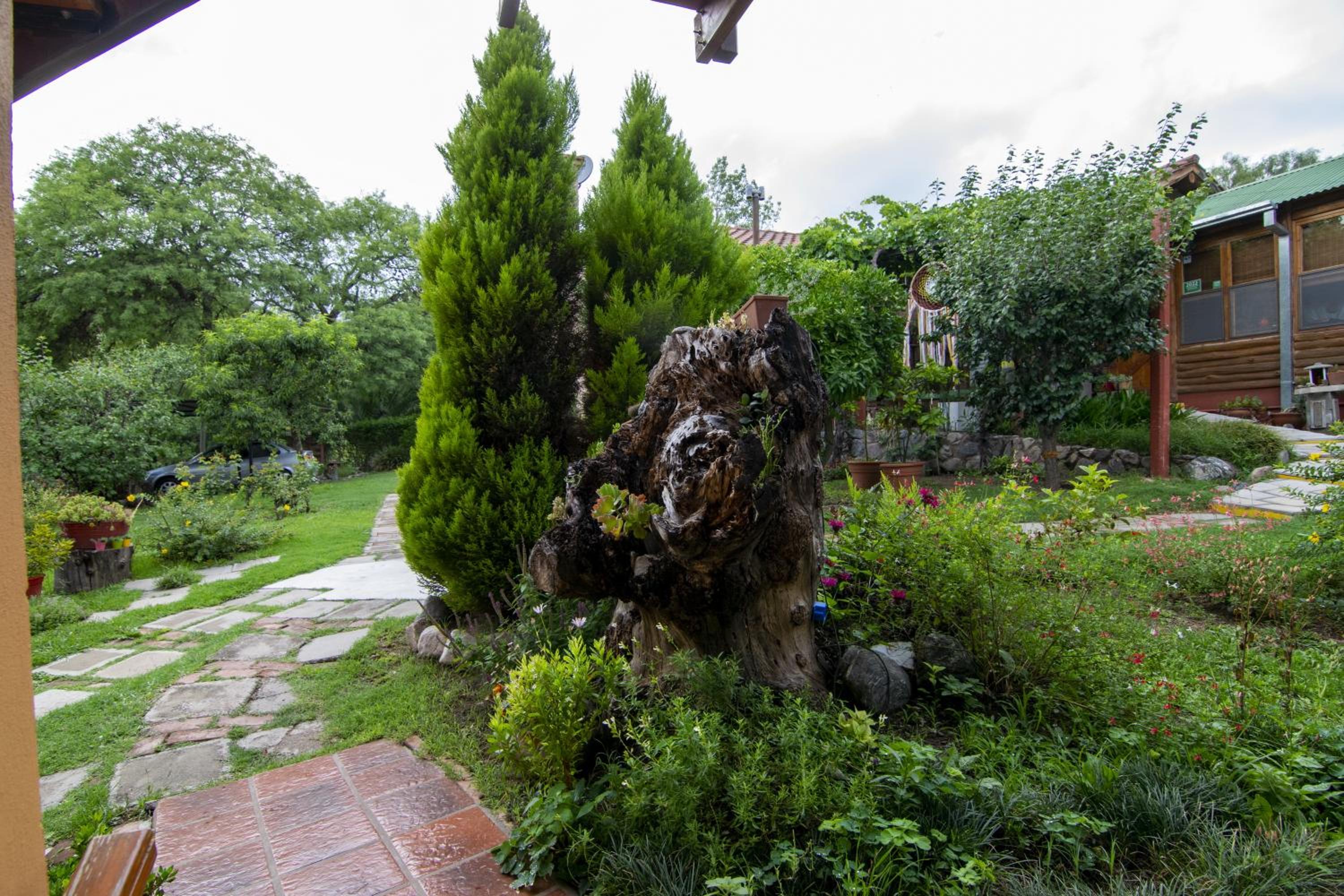 El Viejo Algarrobo - Hosteria Serrana