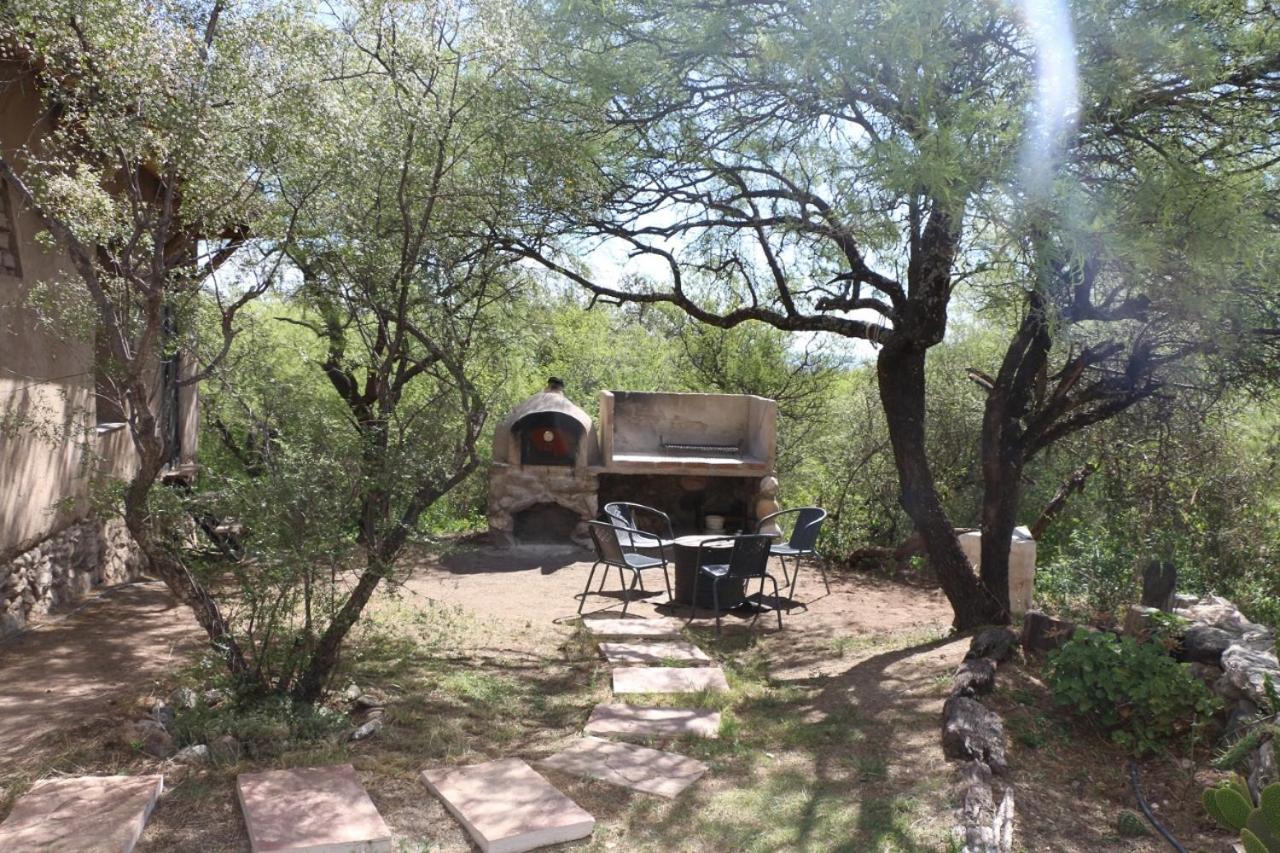Finca Los Olivos Traslasierra