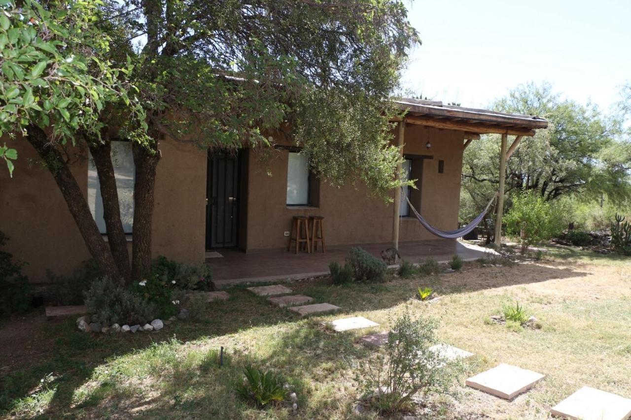Finca Los Olivos Traslasierra