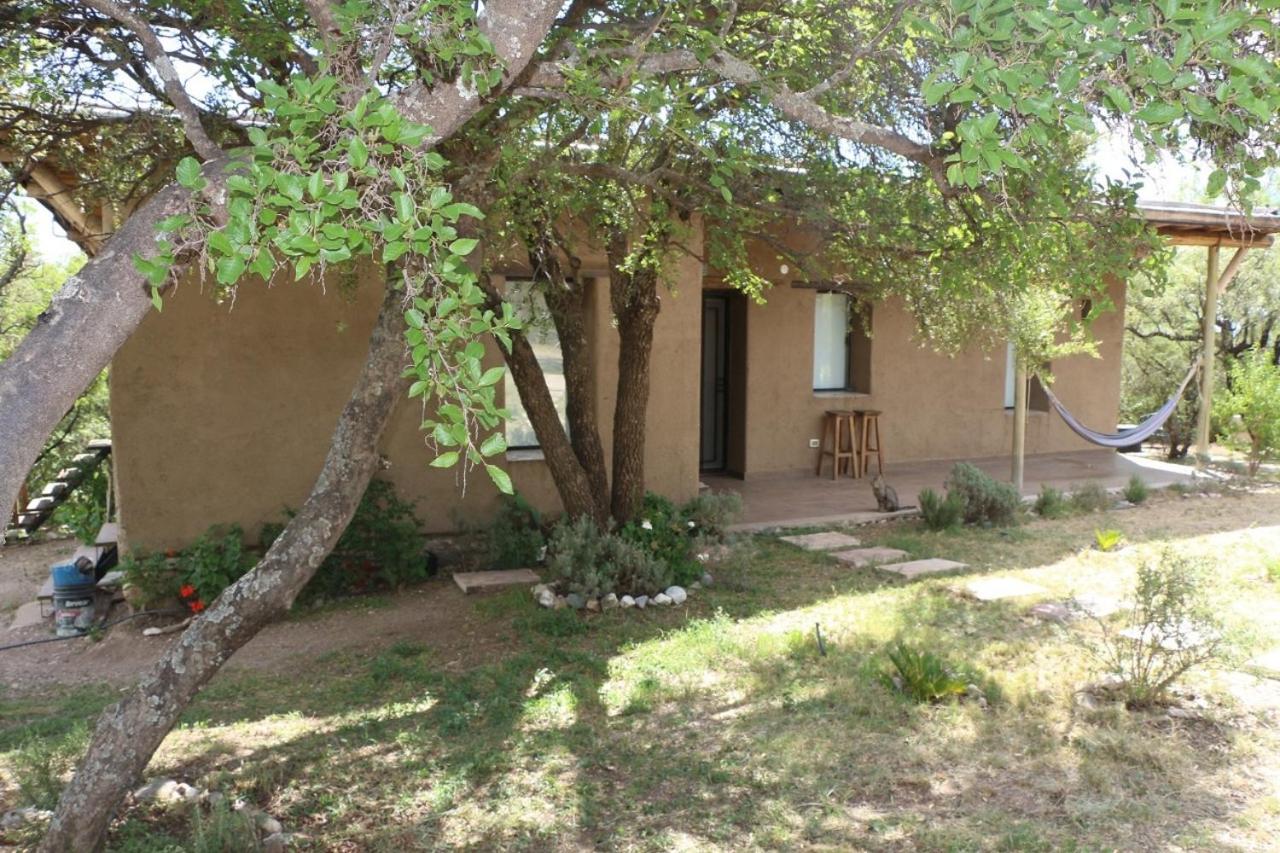 Finca Los Olivos Traslasierra