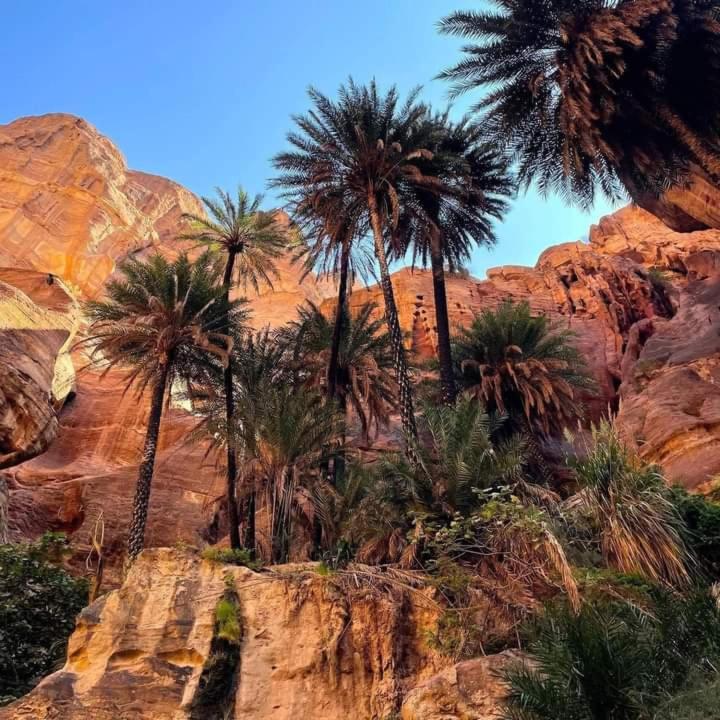 Photo 91
