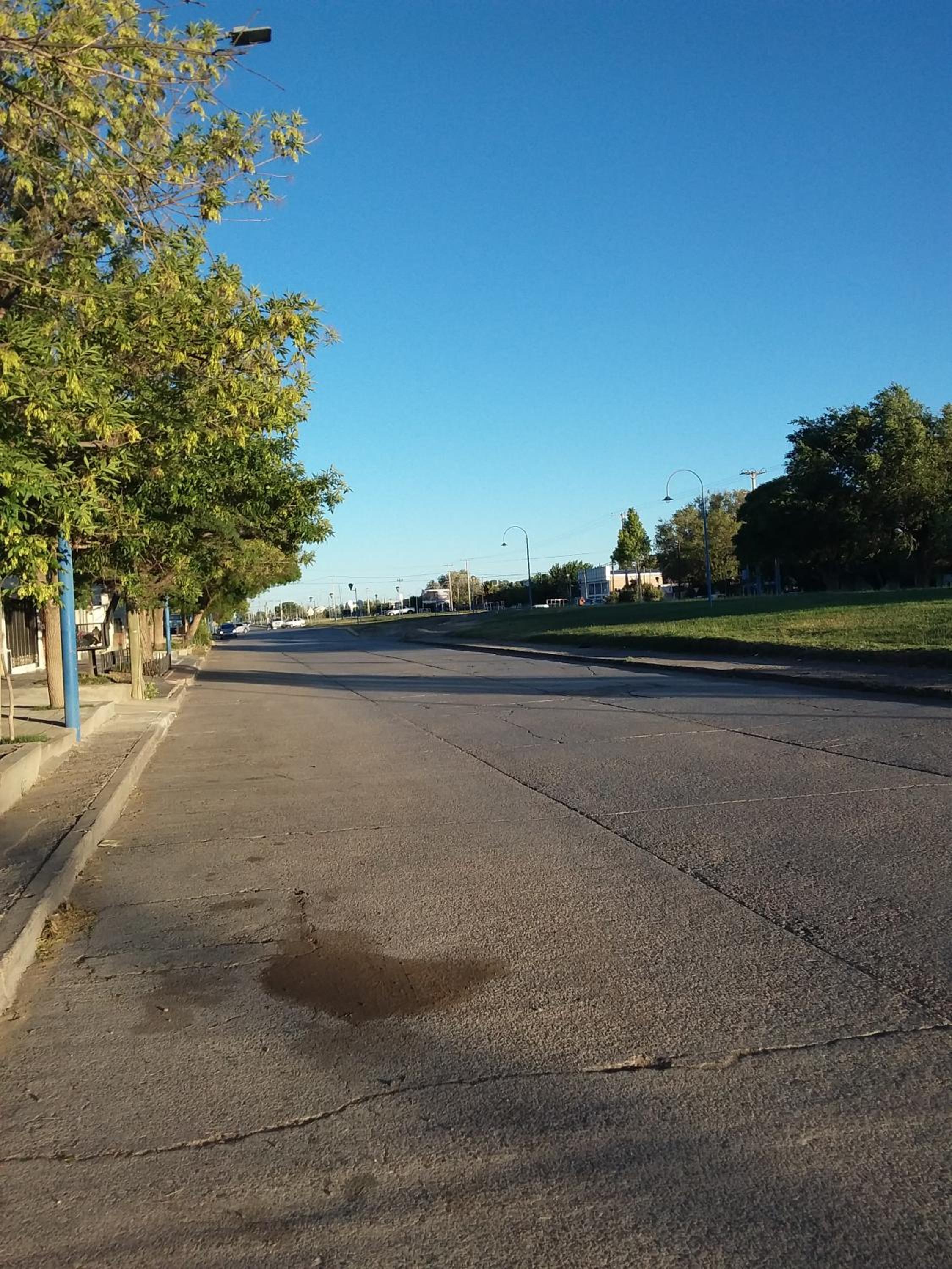 LUPITA CENTRO 1