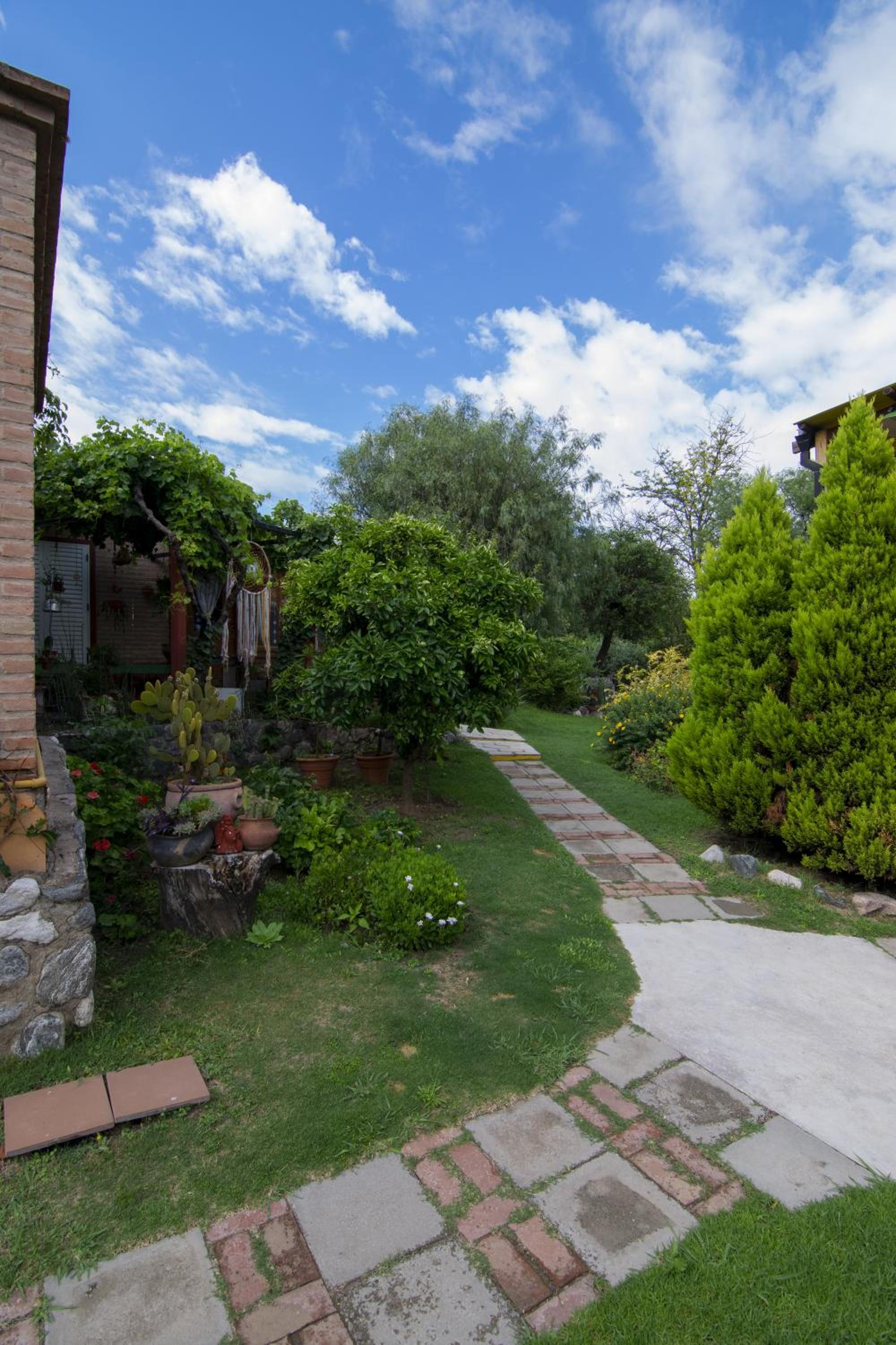 El Viejo Algarrobo - Hosteria Serrana