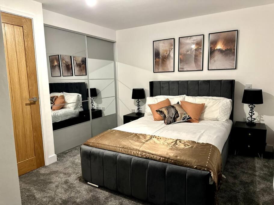 Brand new modern Cheltenham home