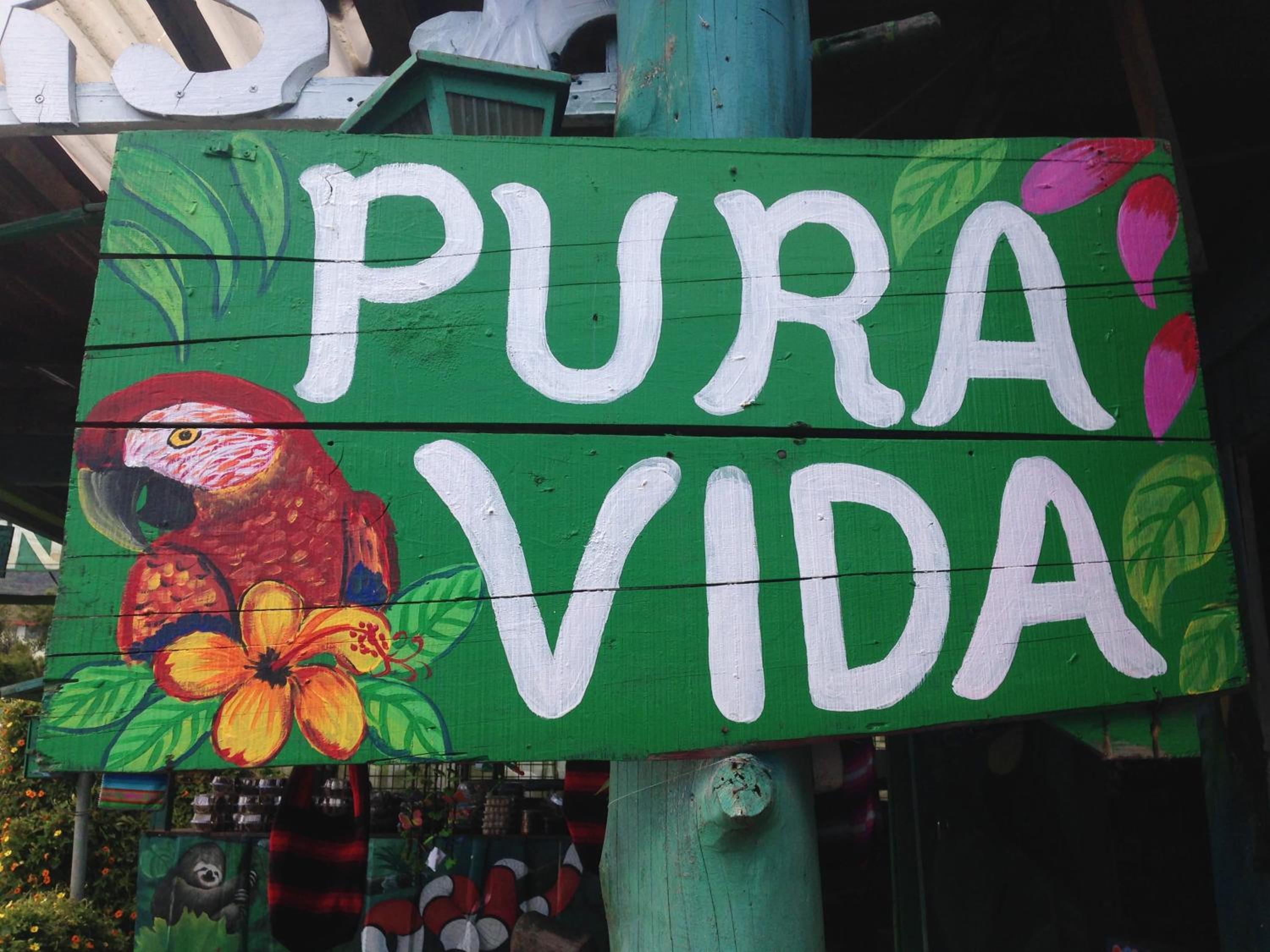 The Garden Casitas by Vista Celestial