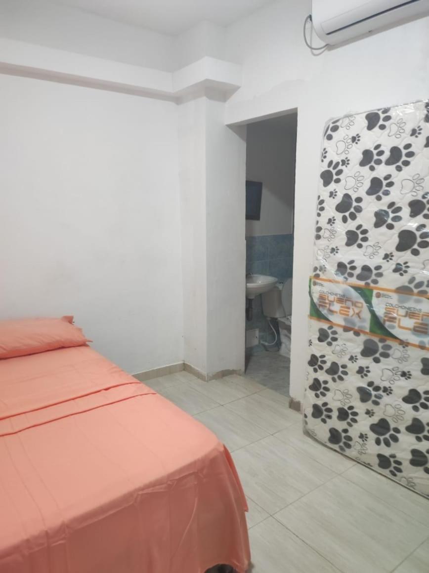 casa alison