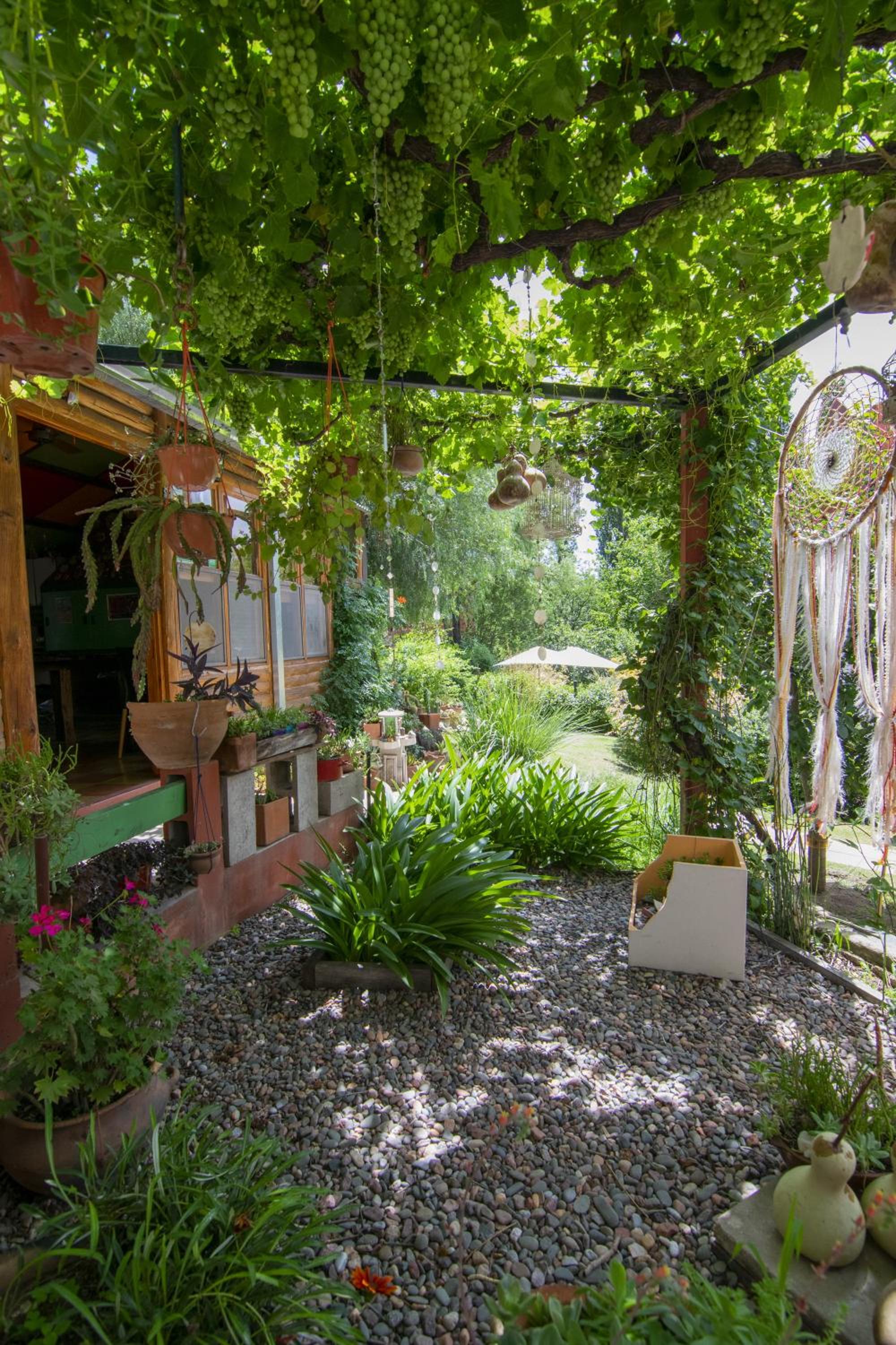 El Viejo Algarrobo - Hosteria Serrana
