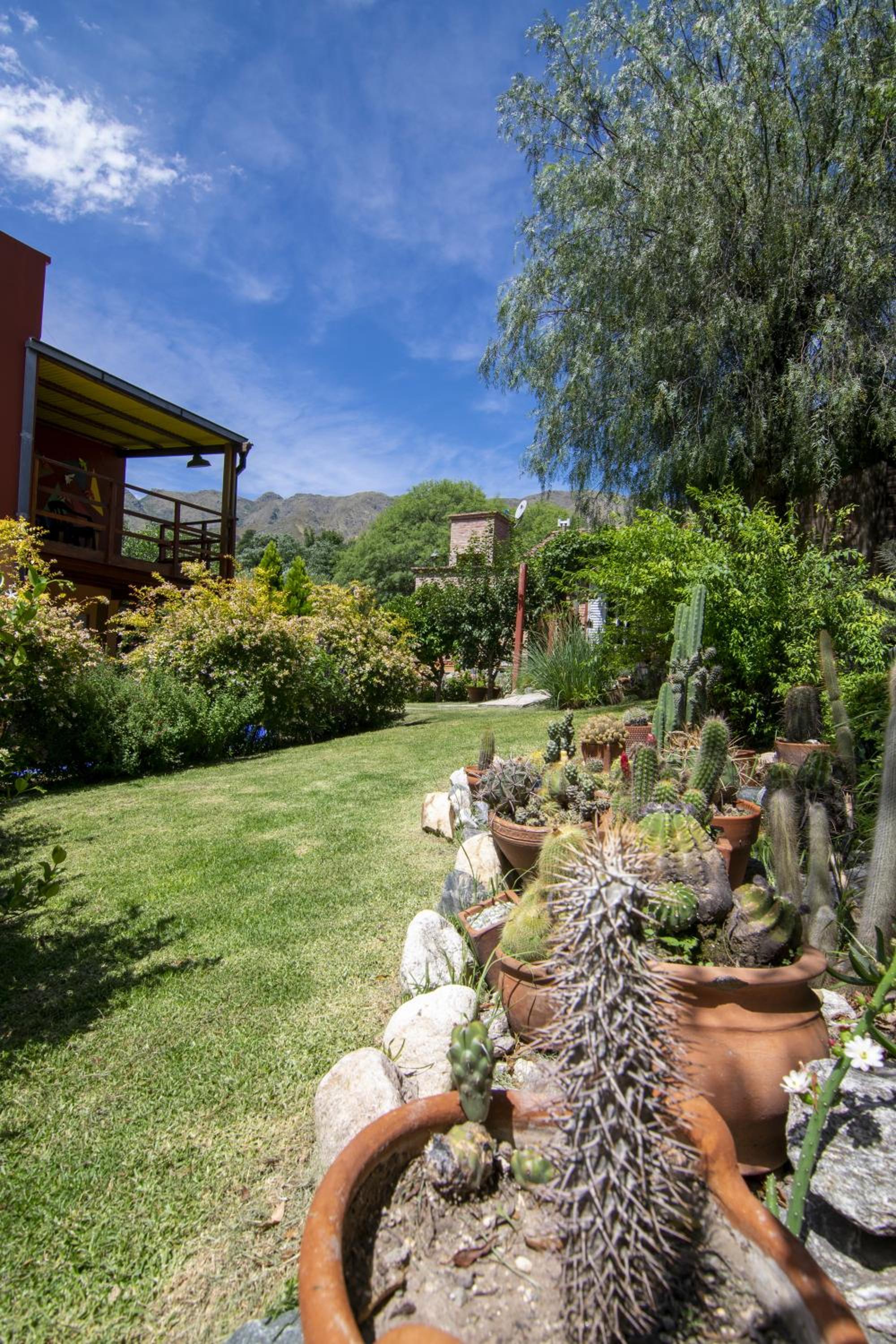El Viejo Algarrobo - Hosteria Serrana