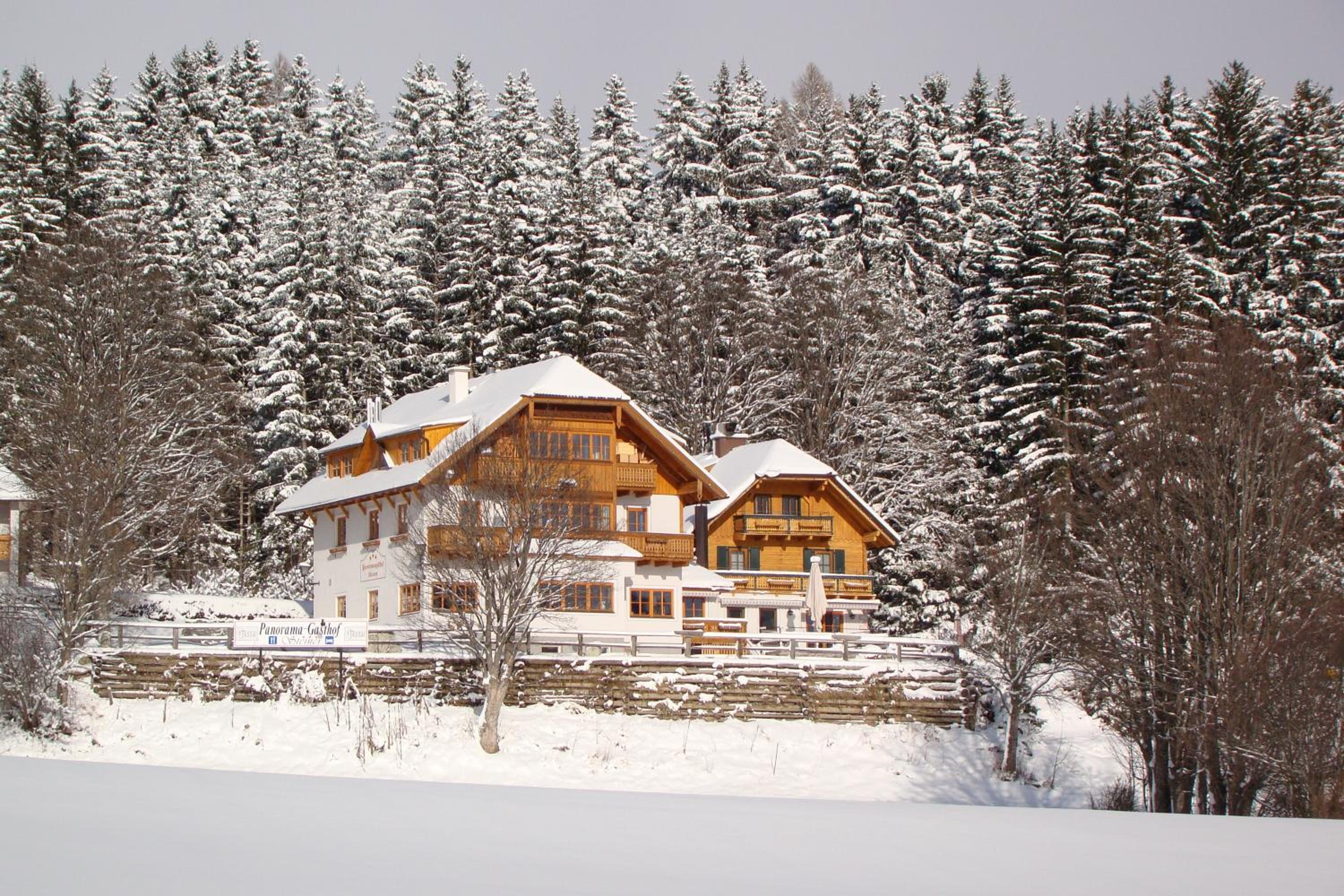 Panoramahaus Steiner