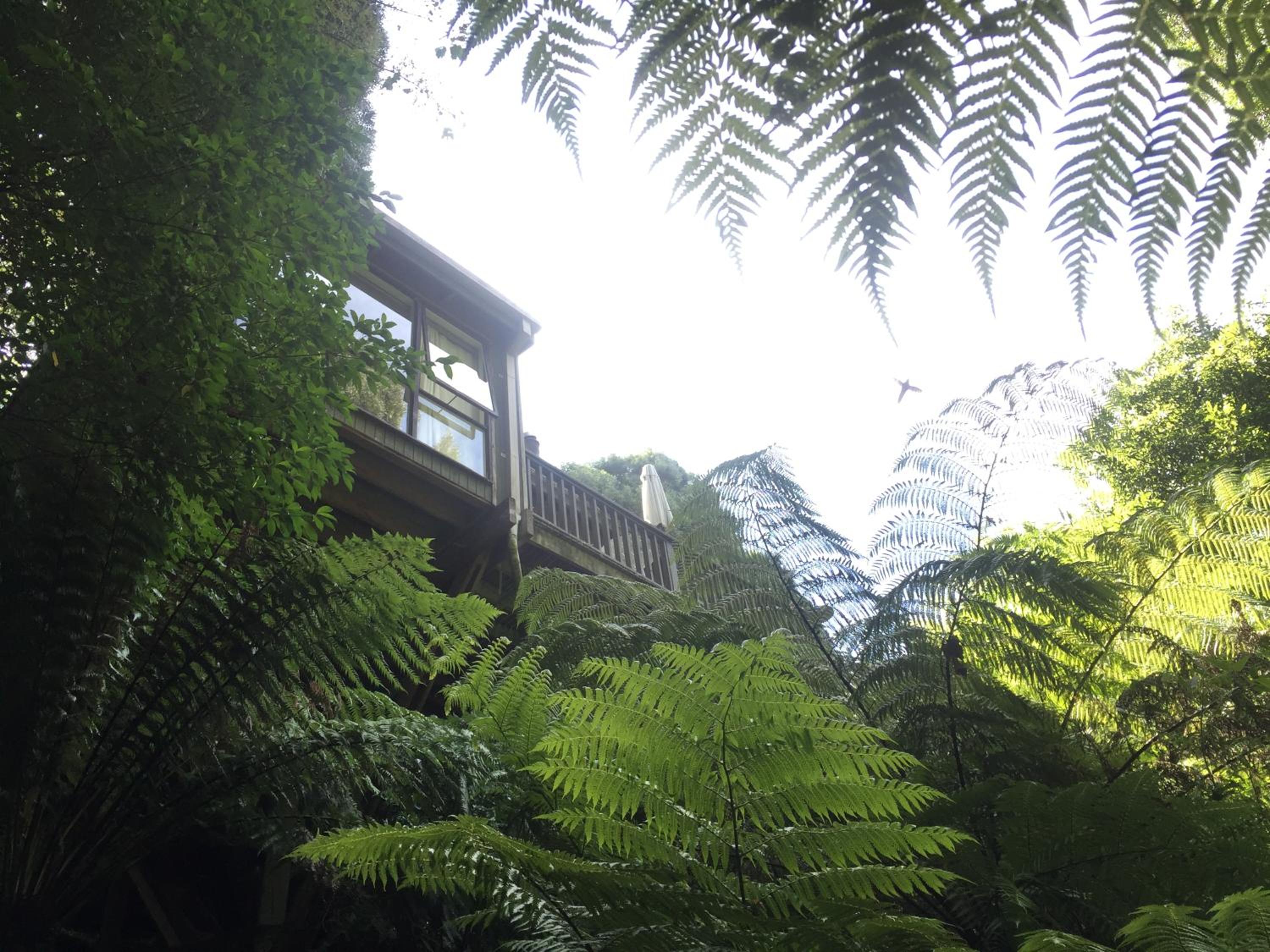 Sassafras Treehouse Private home in the Dandenong Ranges, Victoria