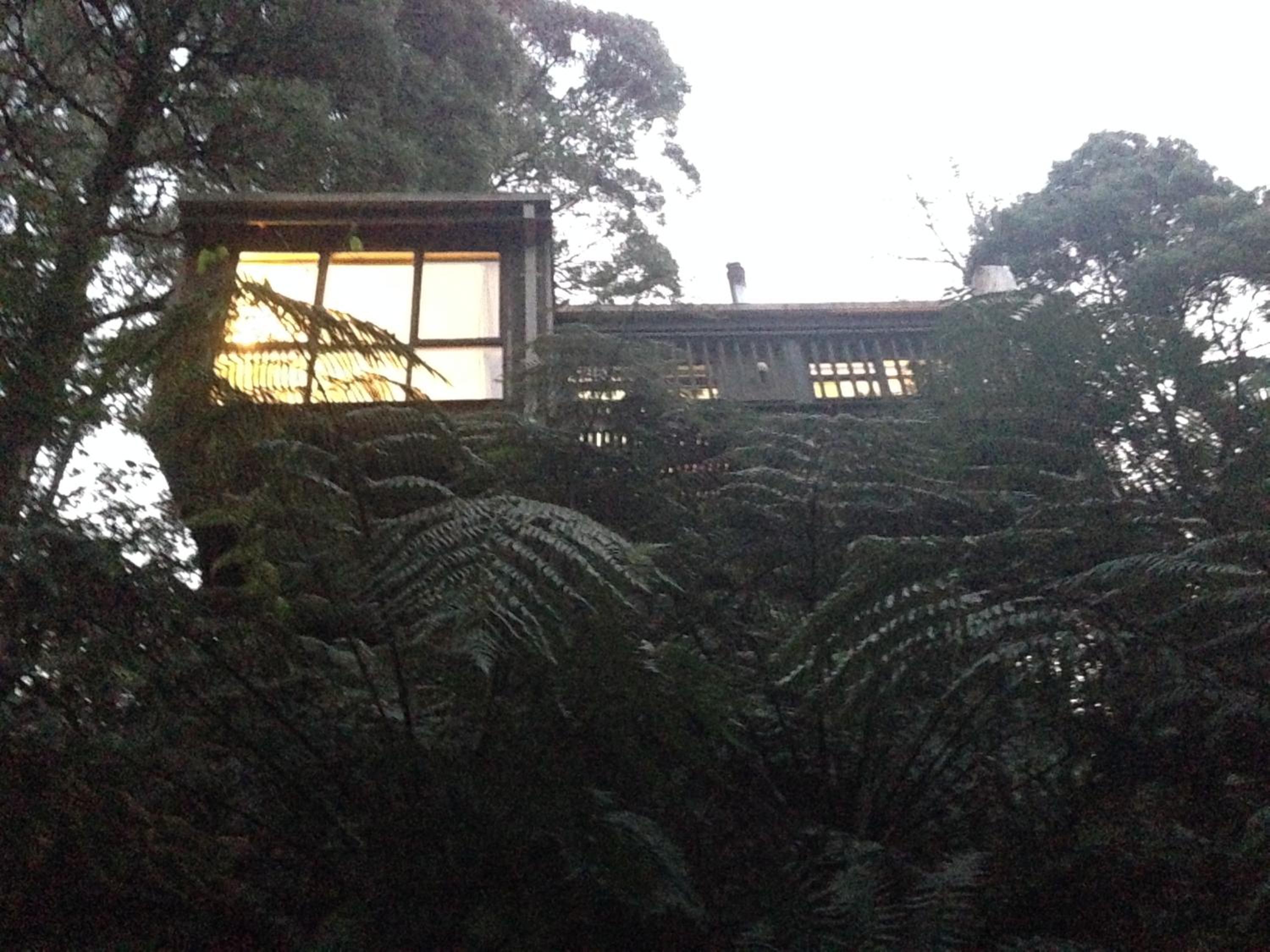 Sassafras Treehouse Private home in the Dandenong Ranges, Victoria