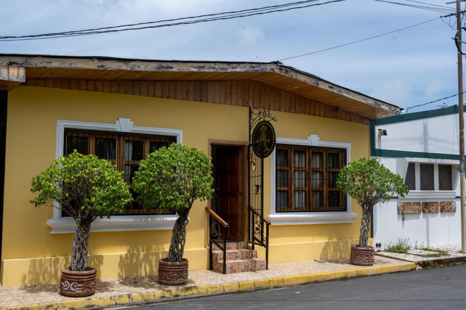 Photo 45