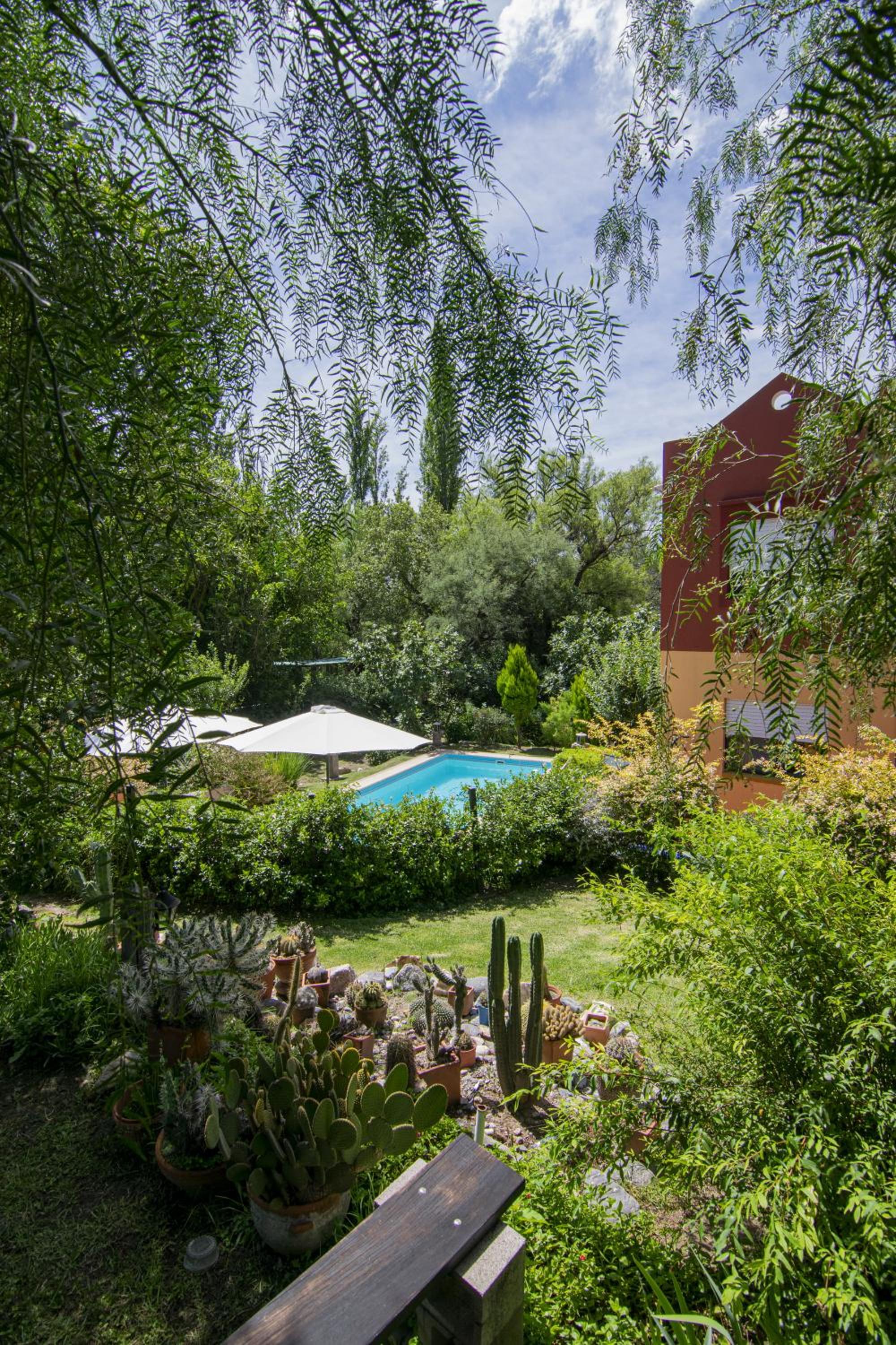 El Viejo Algarrobo - Hosteria Serrana