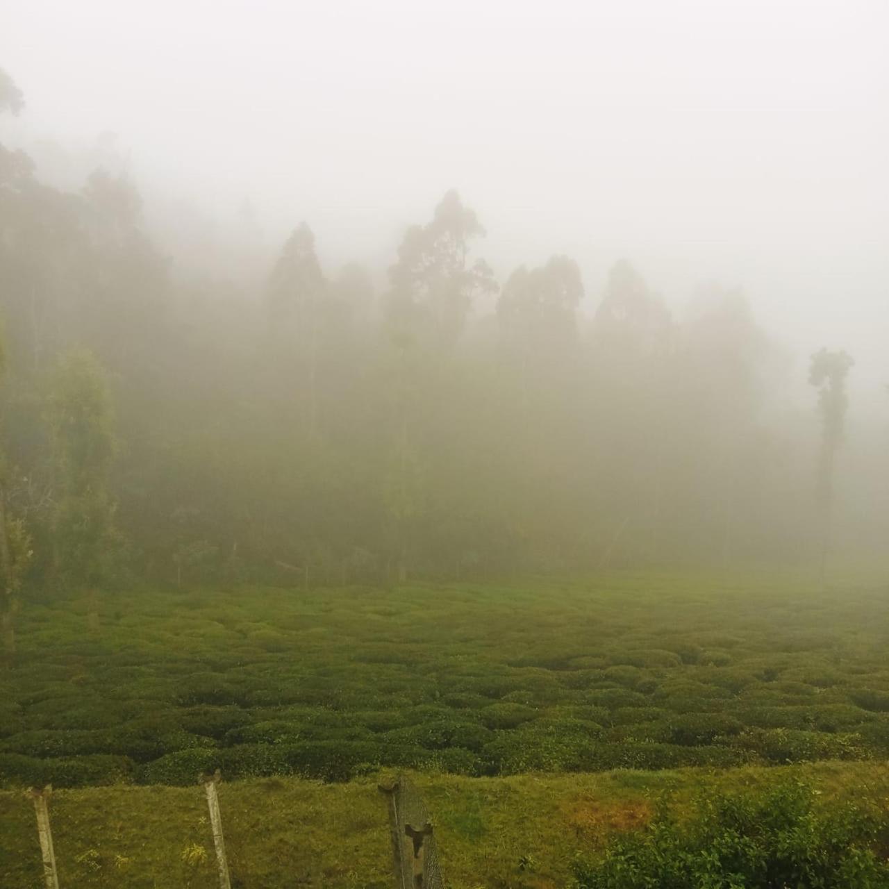 Jayasri Home view 5