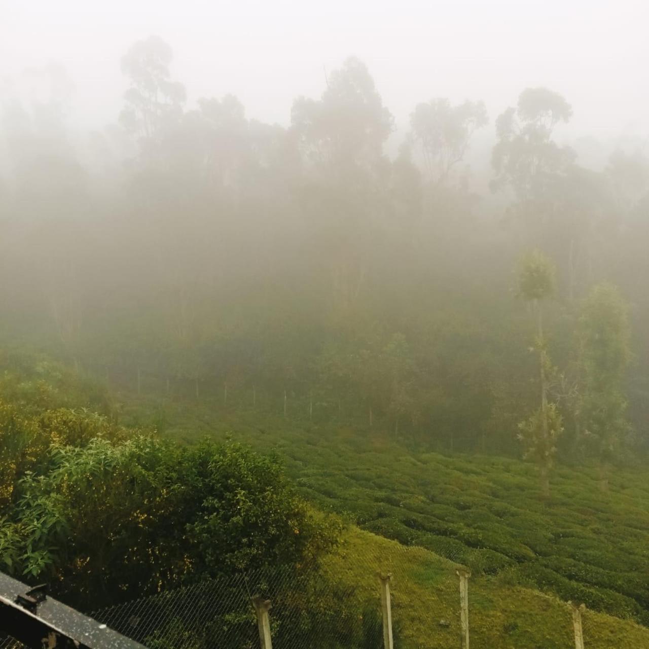 Jayasri Home view 4