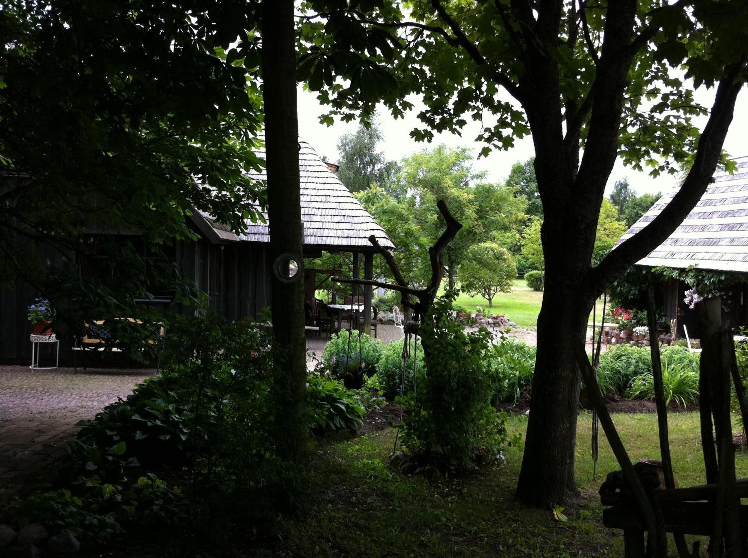 Photo 9