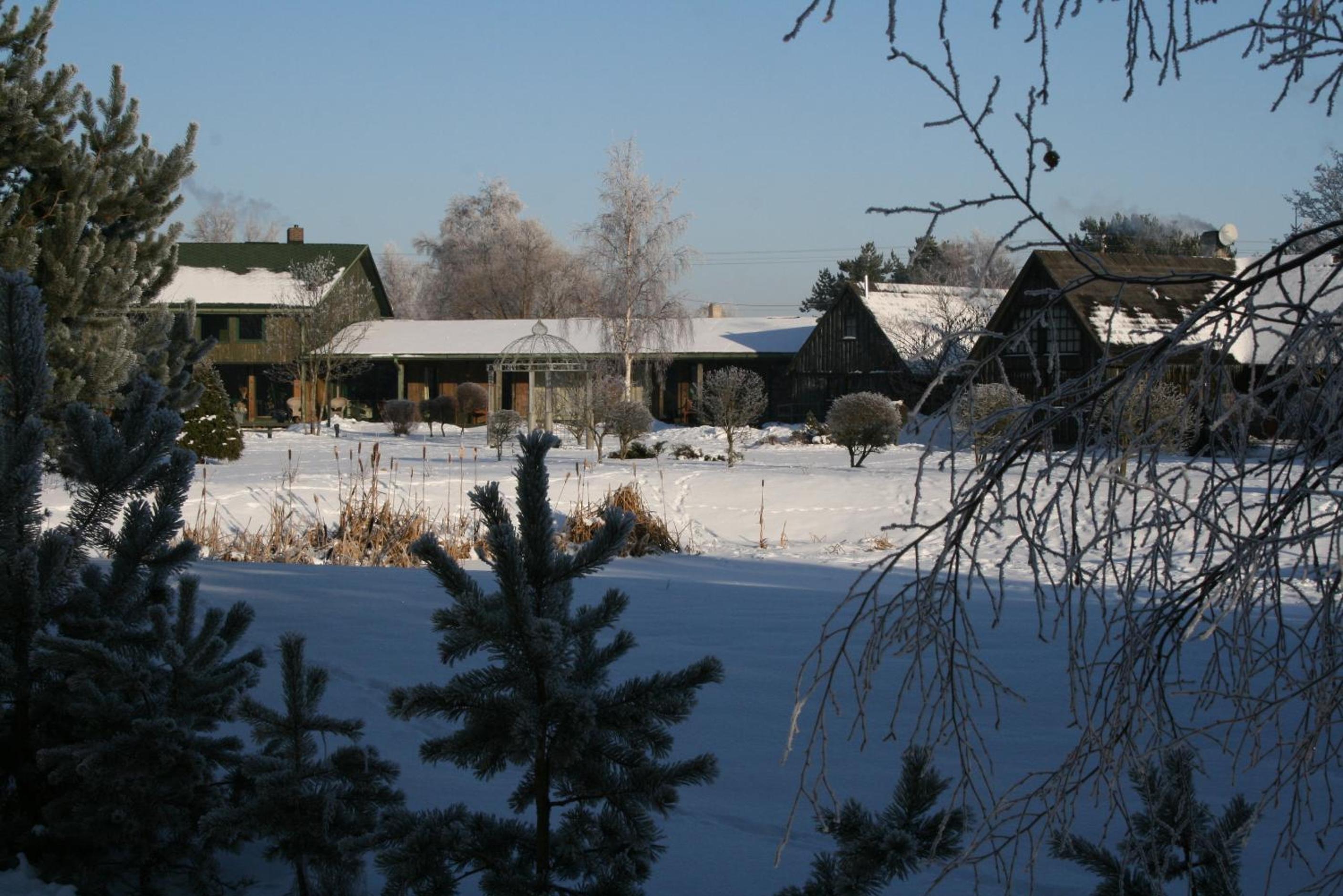 Photo 41
