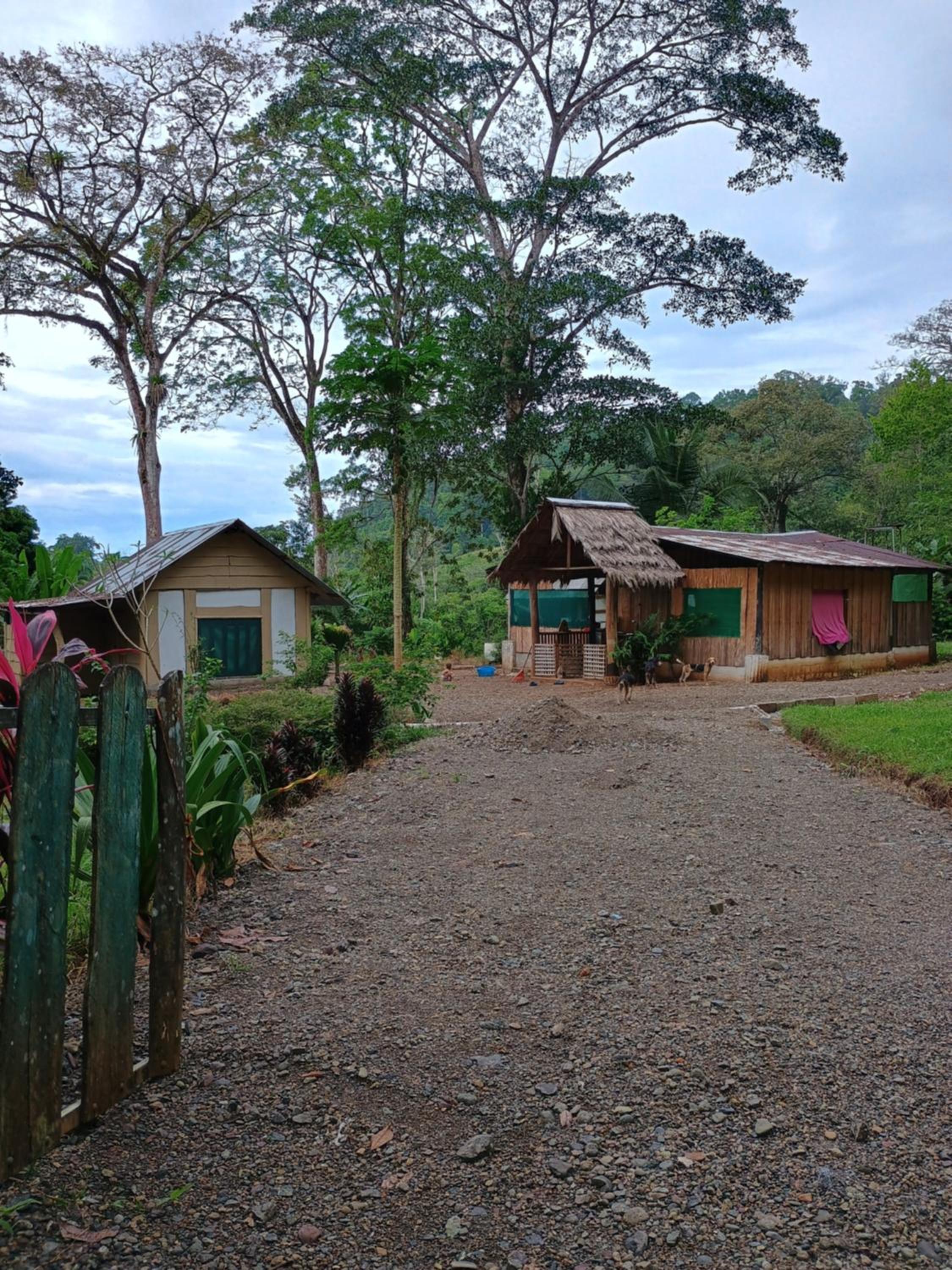 Cabinas casa Jungla