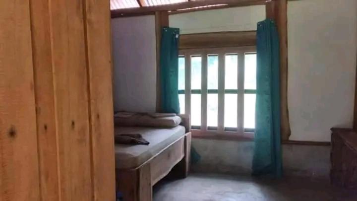 Cabinas casa Jungla