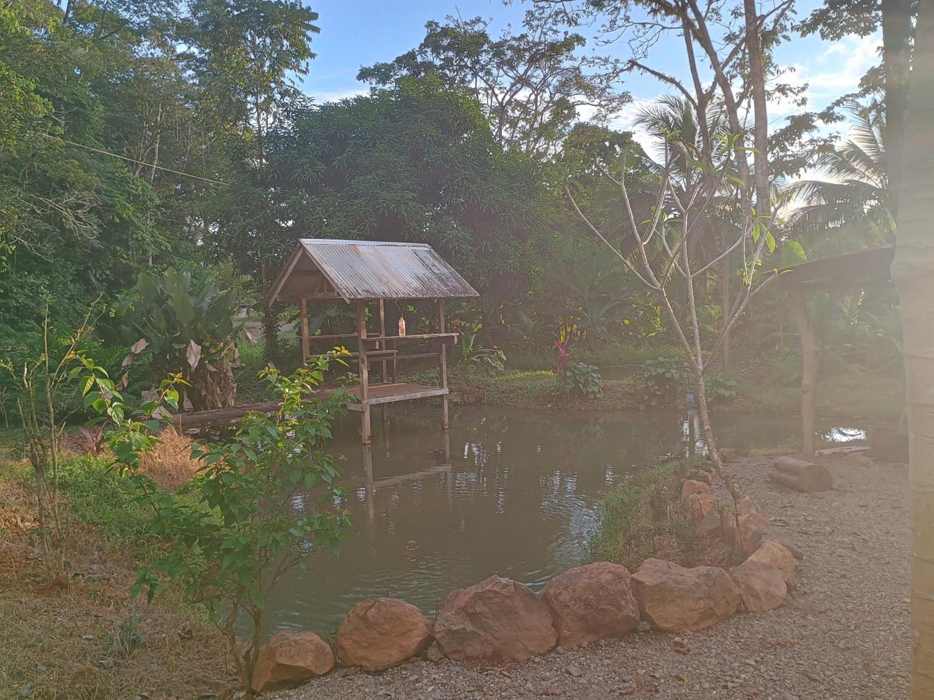 Cabinas casa Jungla