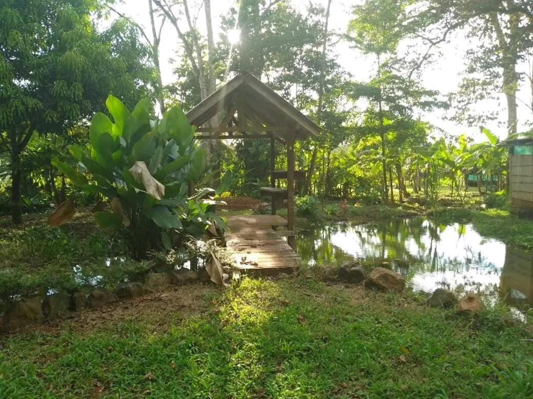 Cabinas casa Jungla