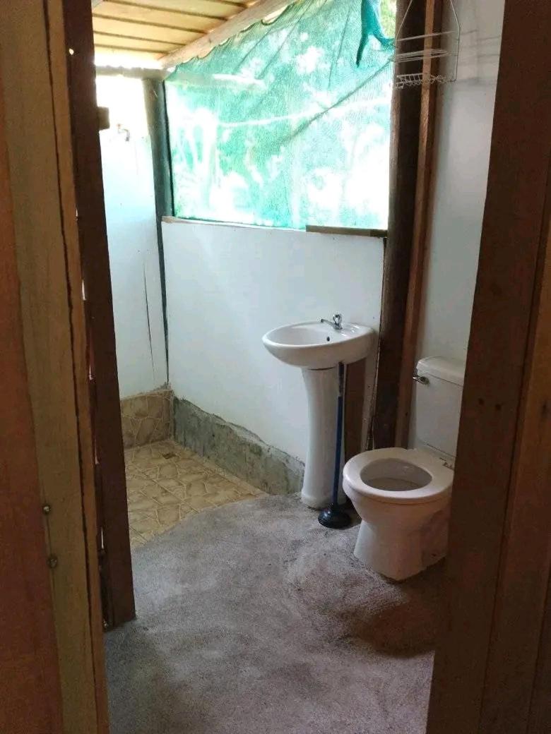 Cabinas casa Jungla