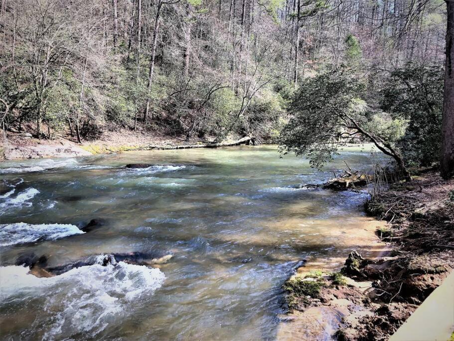 Dog Friendly! Creekside Retreat! Waterfront! view 5