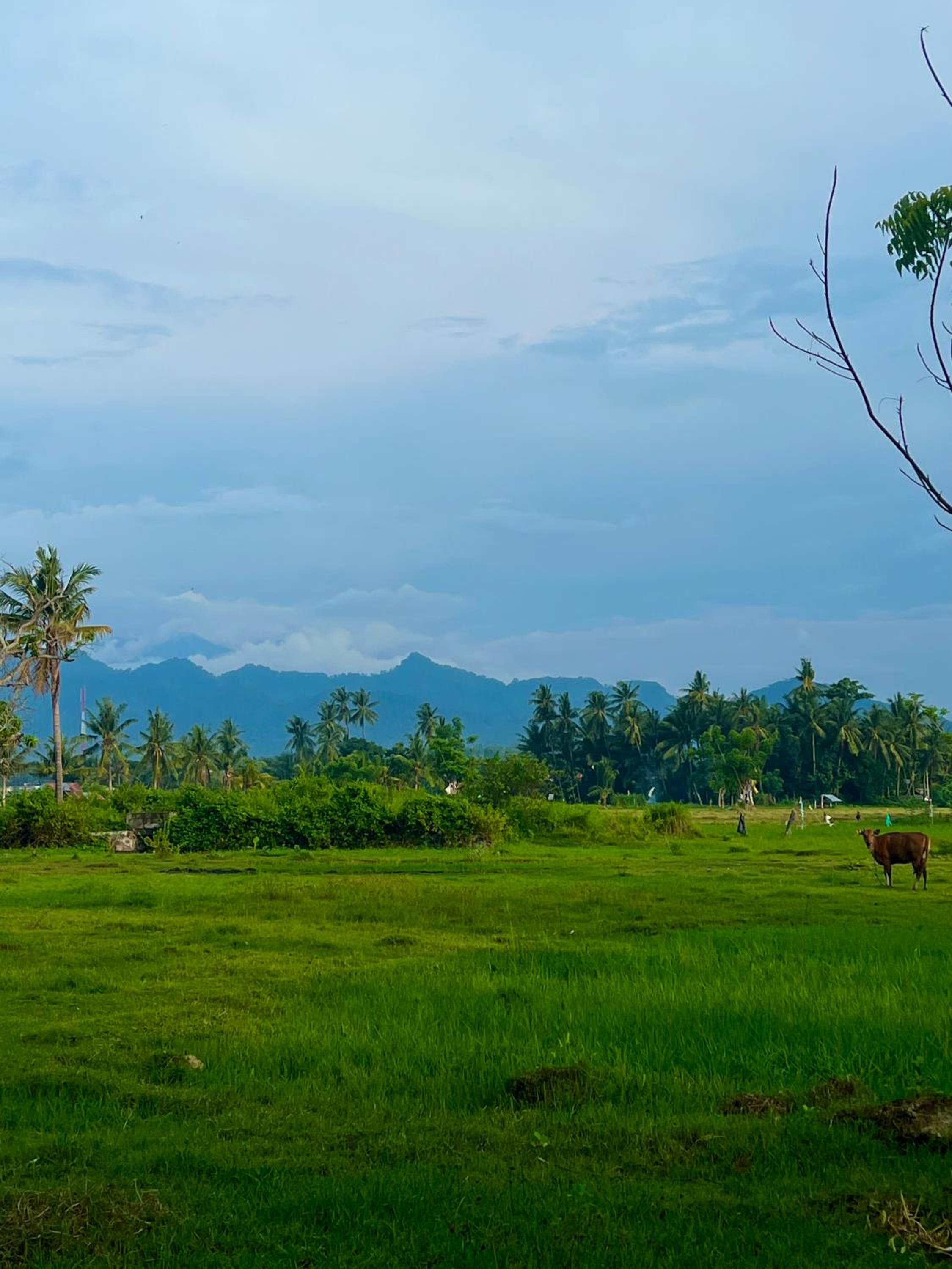 Rinjani Beach Eco Resort