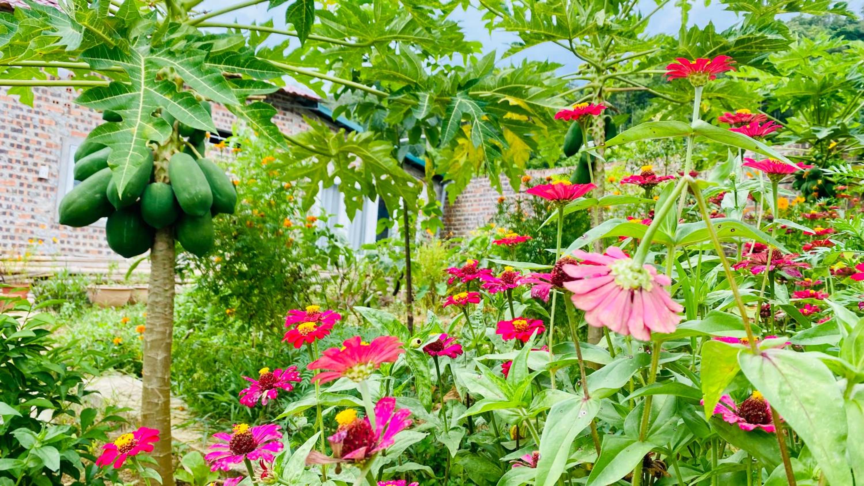Wind Hill Homestay Hà Giang