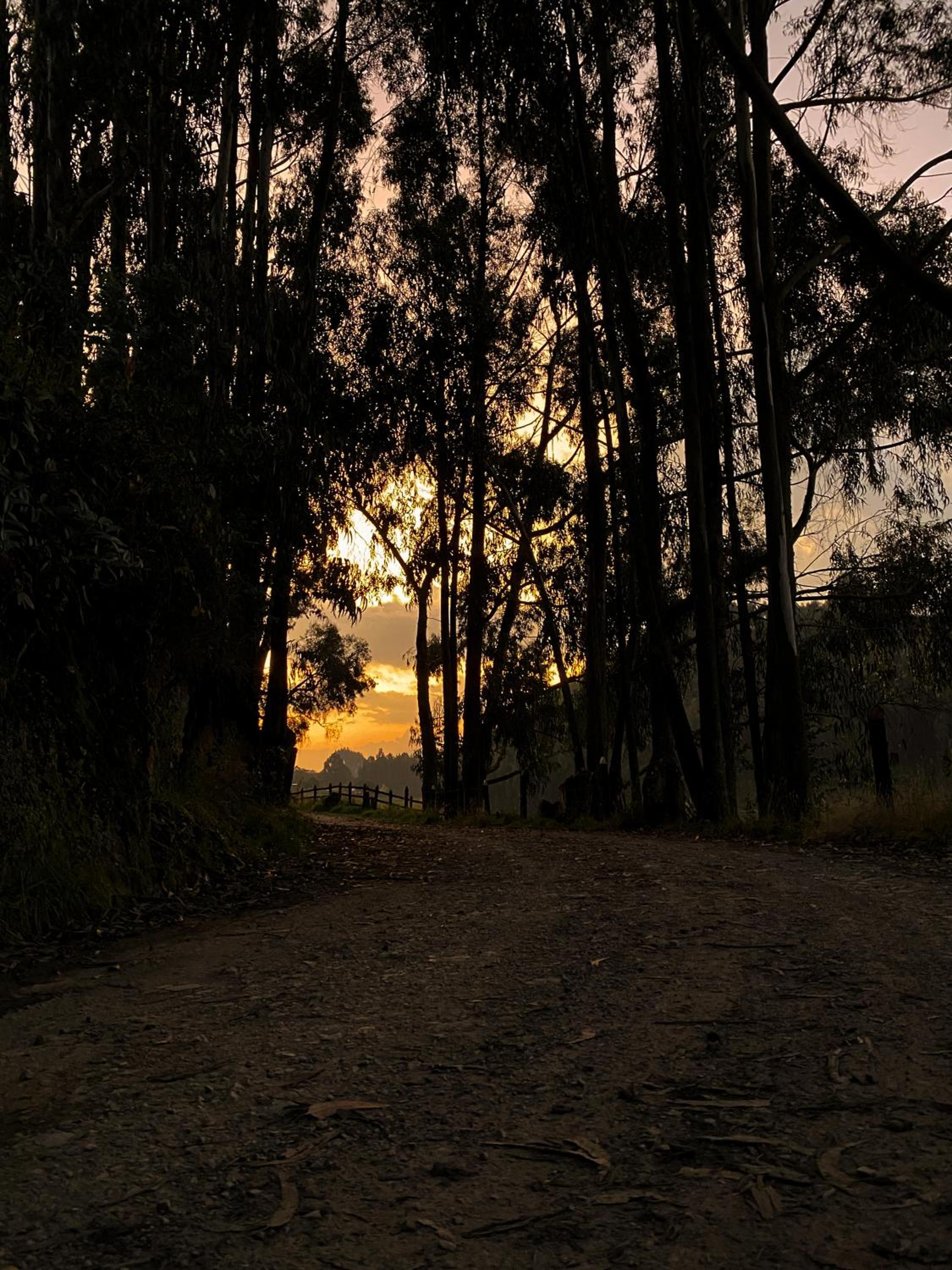 Glamping Cabaña El Quijote Zipaquira