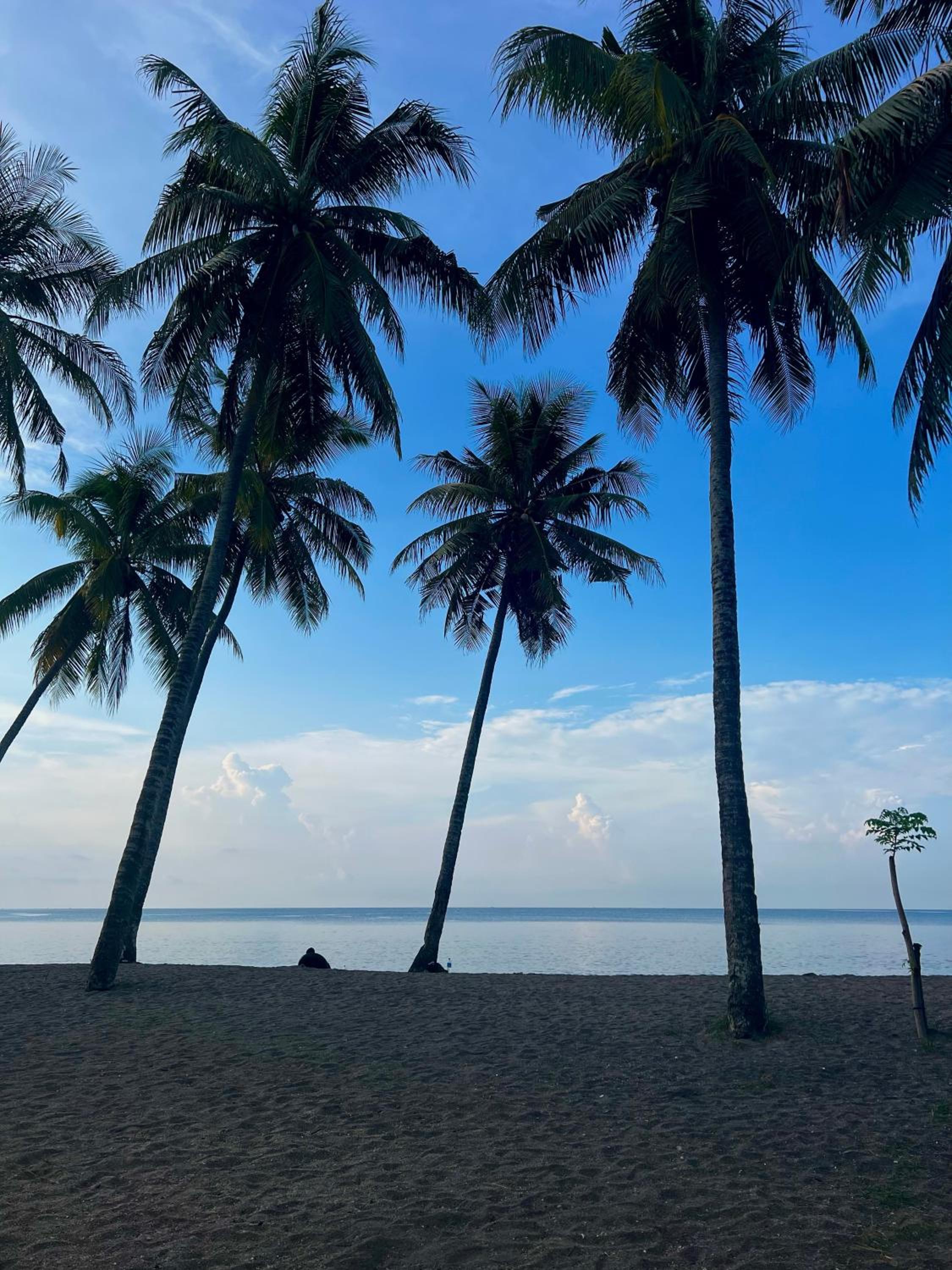 Rinjani Beach Eco Resort