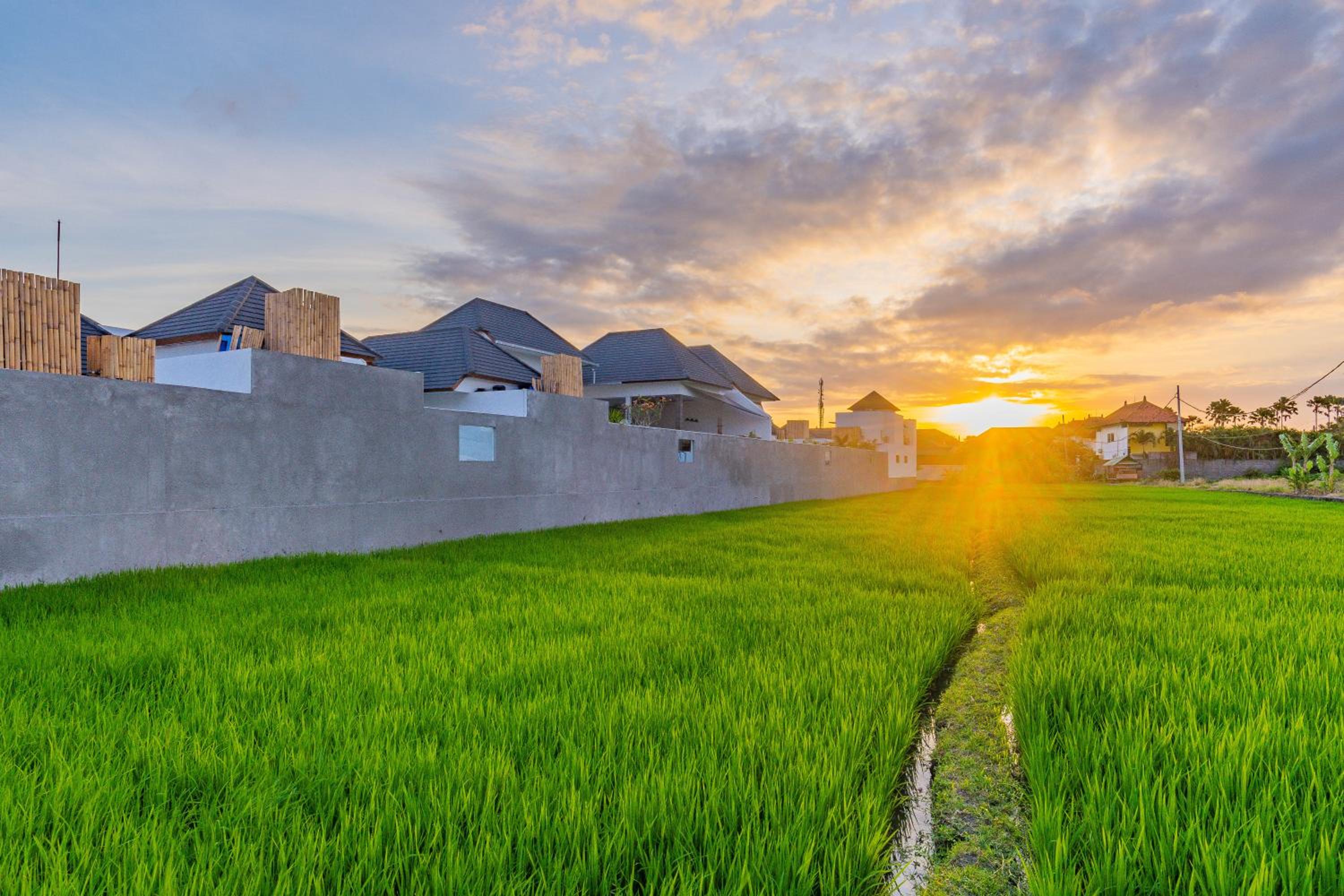 Hedonia Villas Seminyak view 4