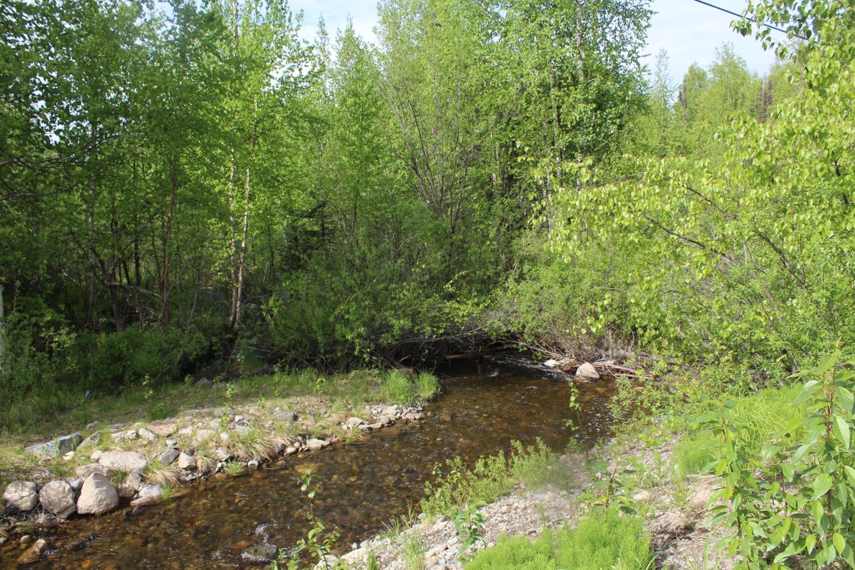 Discover a tranquil getaway near Talkeetna, AK view 5
