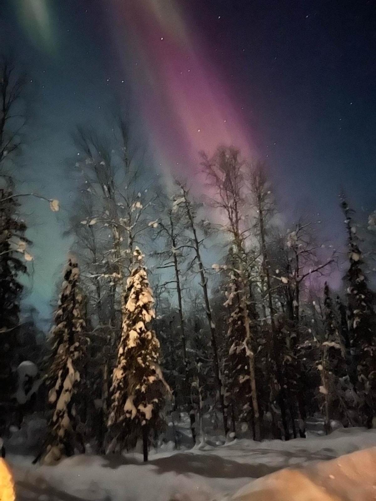 Discover a tranquil getaway near Talkeetna, AK view 3