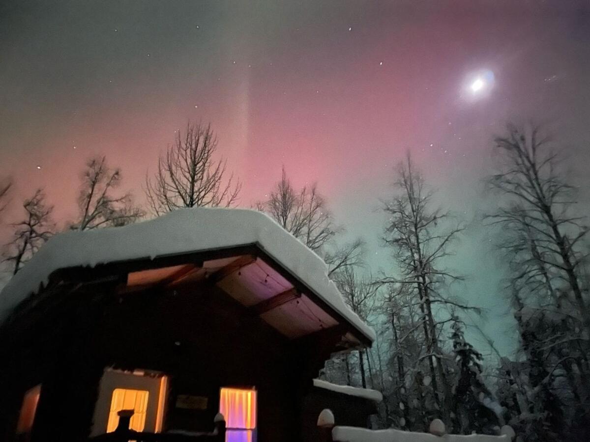 Discover a tranquil getaway near Talkeetna, AK view 2
