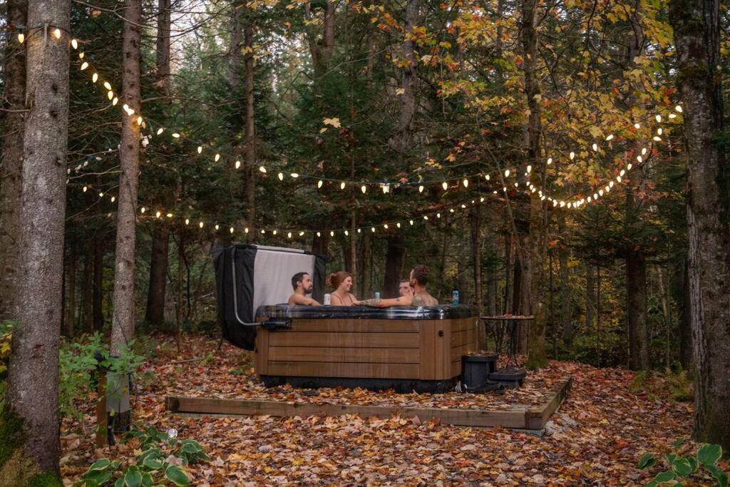 OPPY SHACK - SPA, BABY FOOT, BASKETBALL, LAC, RIVIERE