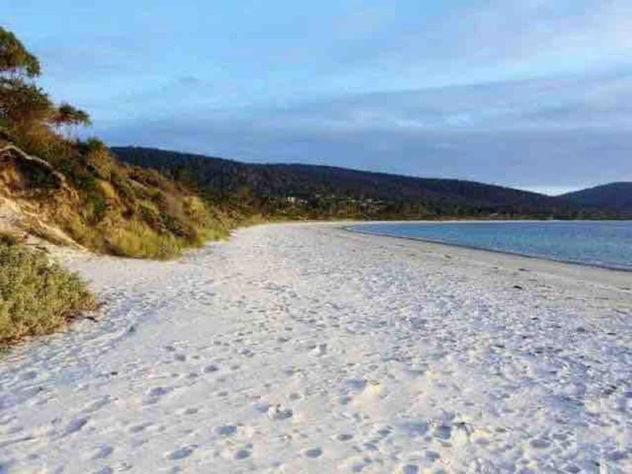 Dune Shack - Beachfront - Sauna - Pet Friendly