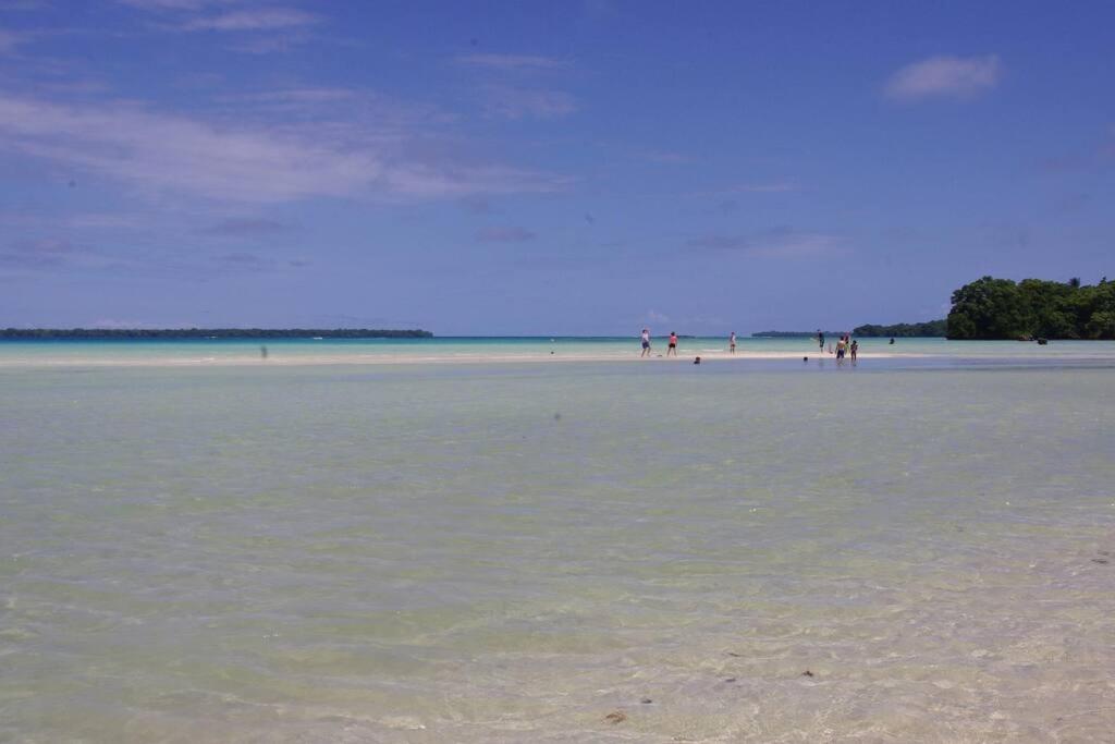 Photo 23