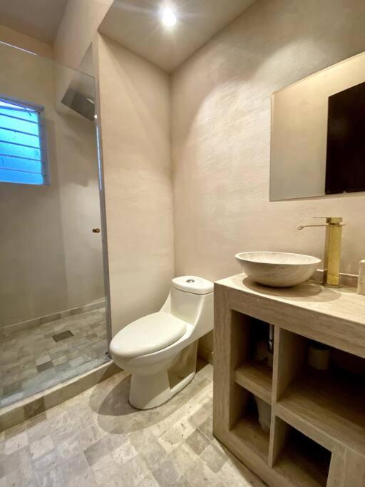 Artist Loft & Greenhouse Oasis - Condesa photo 5