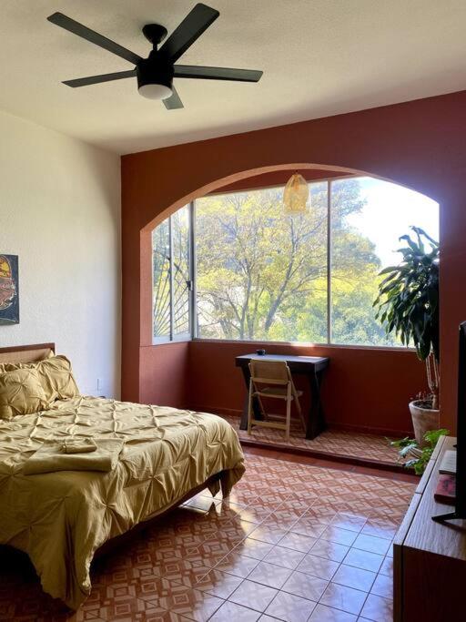 Artist Loft & Greenhouse Oasis - Condesa photo 4
