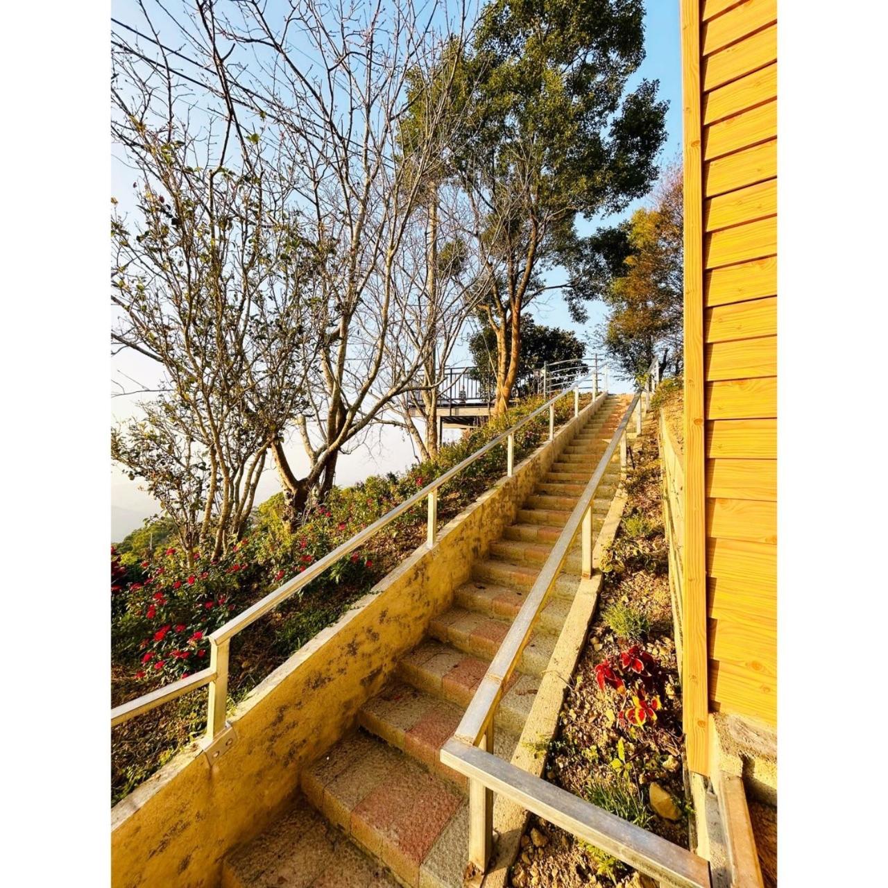 Photo 42