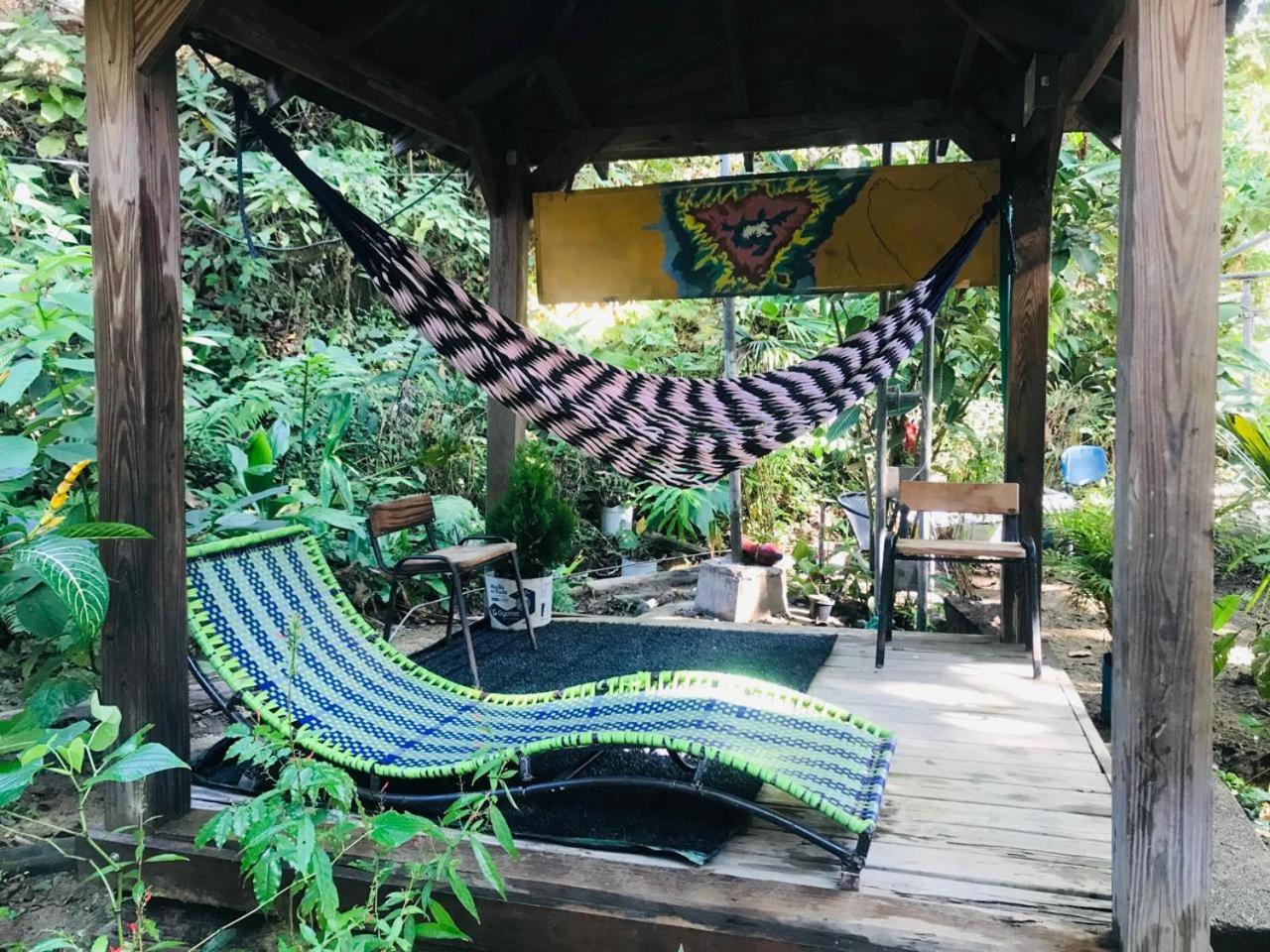 Hostal Las Mariposas Minca