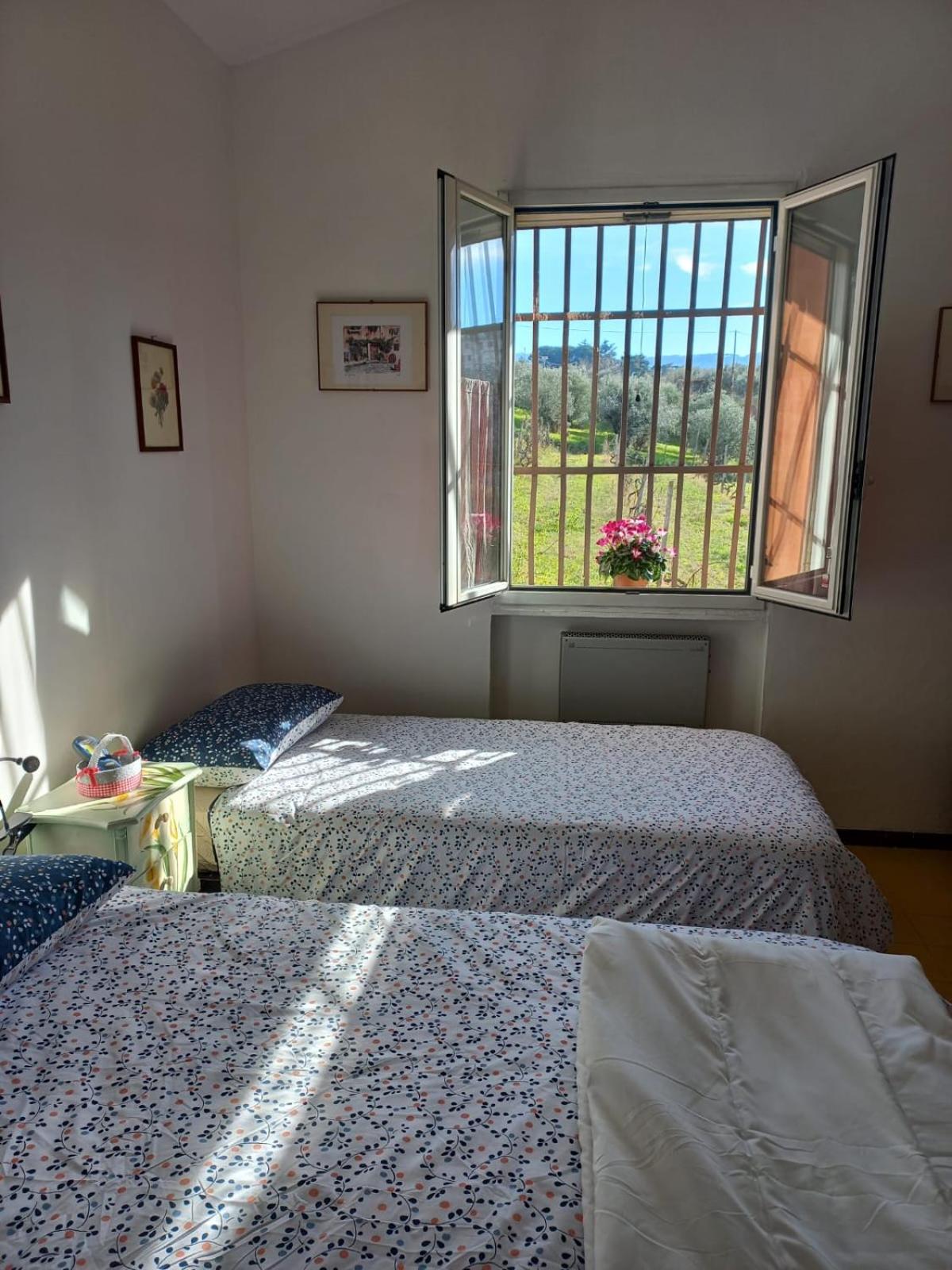 Poggio agli Ulivi vicolo di Colle Reti 22 Frascati view 2
